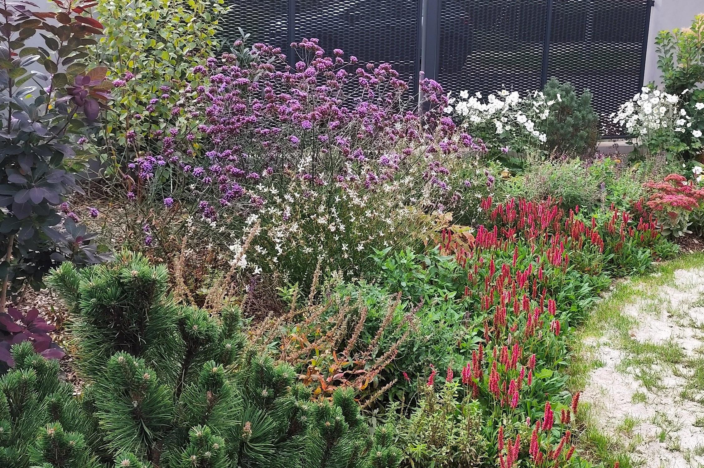 Realizace a údržba zahrad Lucie Průchová