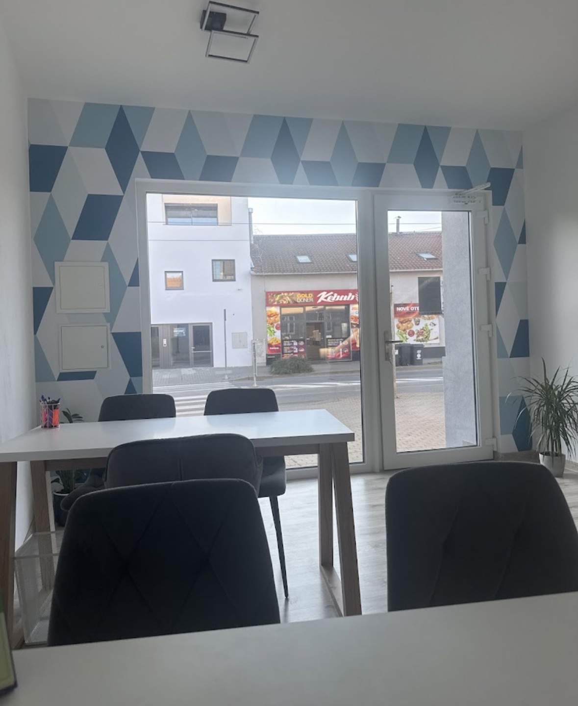 Nikol Lefnerová,  Allianz pojišťovna foto 4