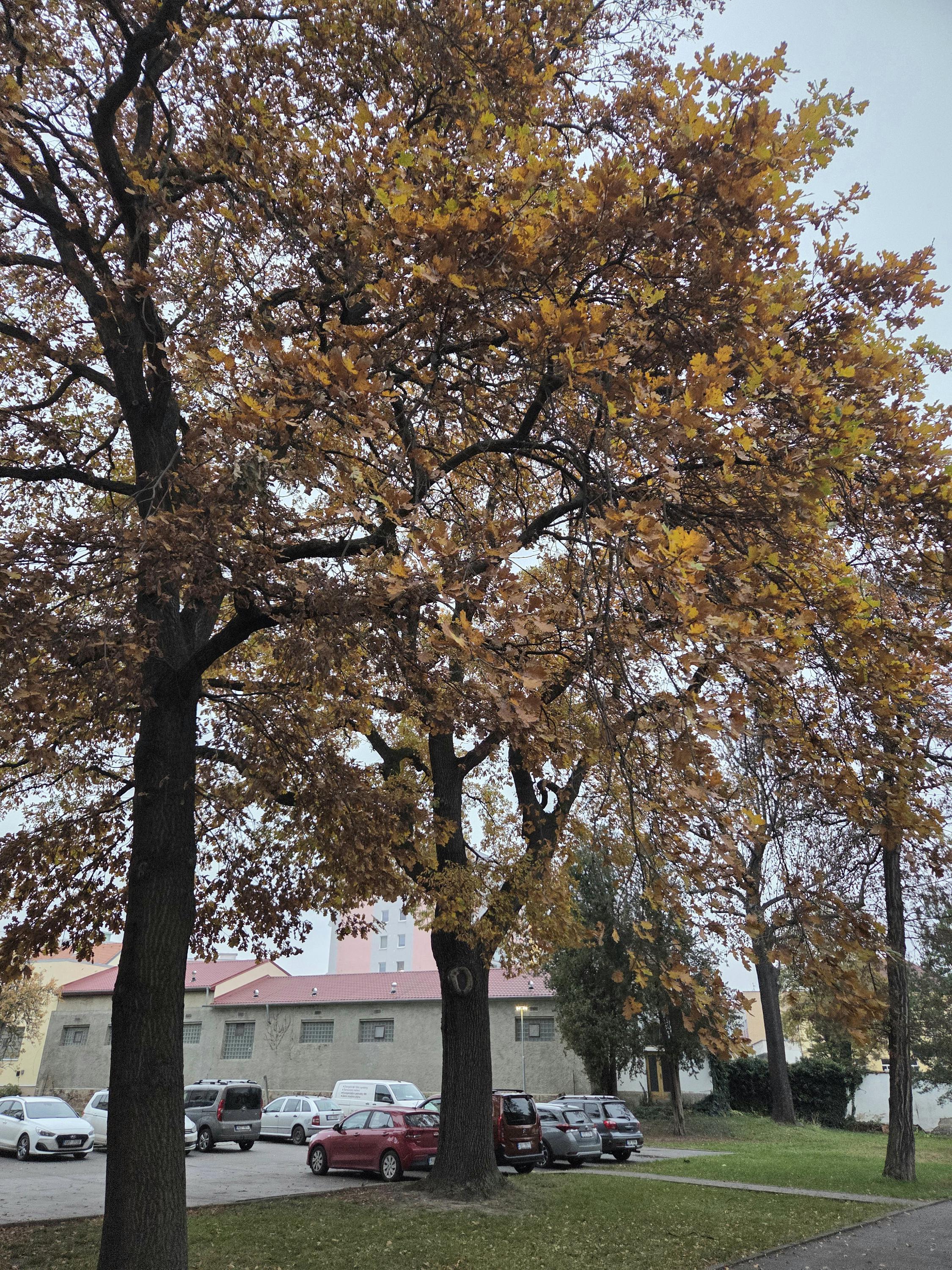 Ubytování U Sv. Štěpána foto 2