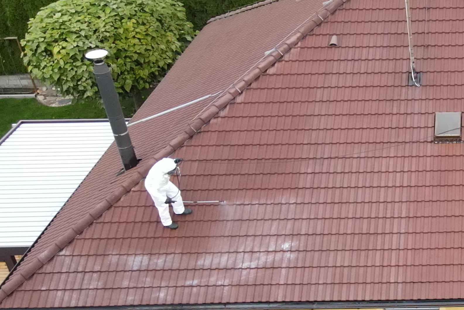 Biocidní ošetření střechy proti růstu mechů