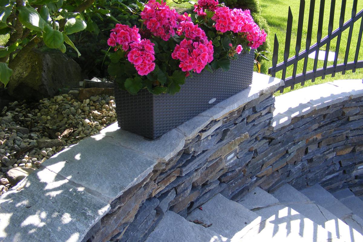 ANZUVA Michal Rybnikář