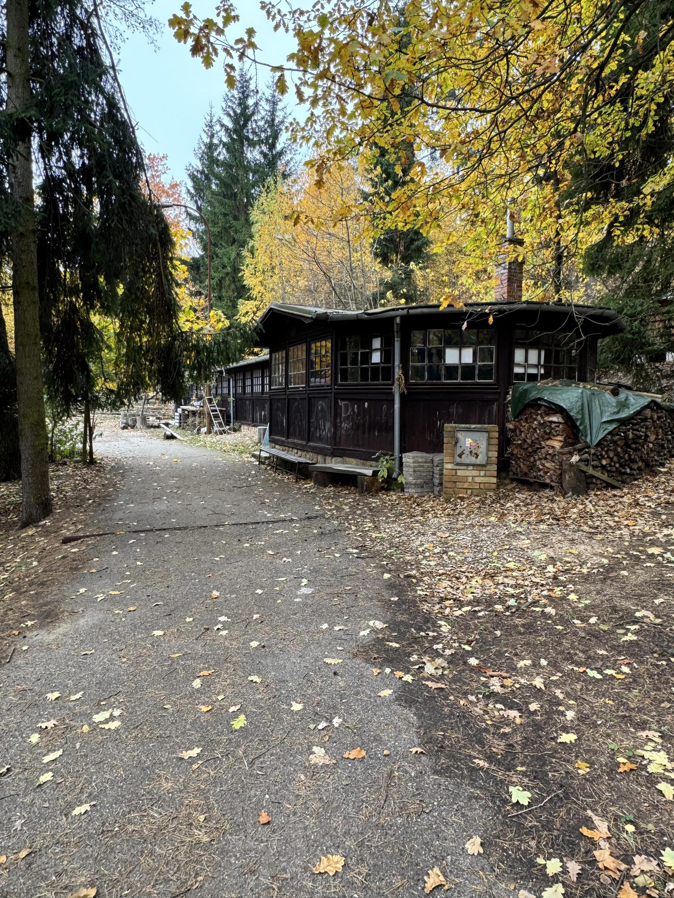 Lesní školka Jelínek foto 3