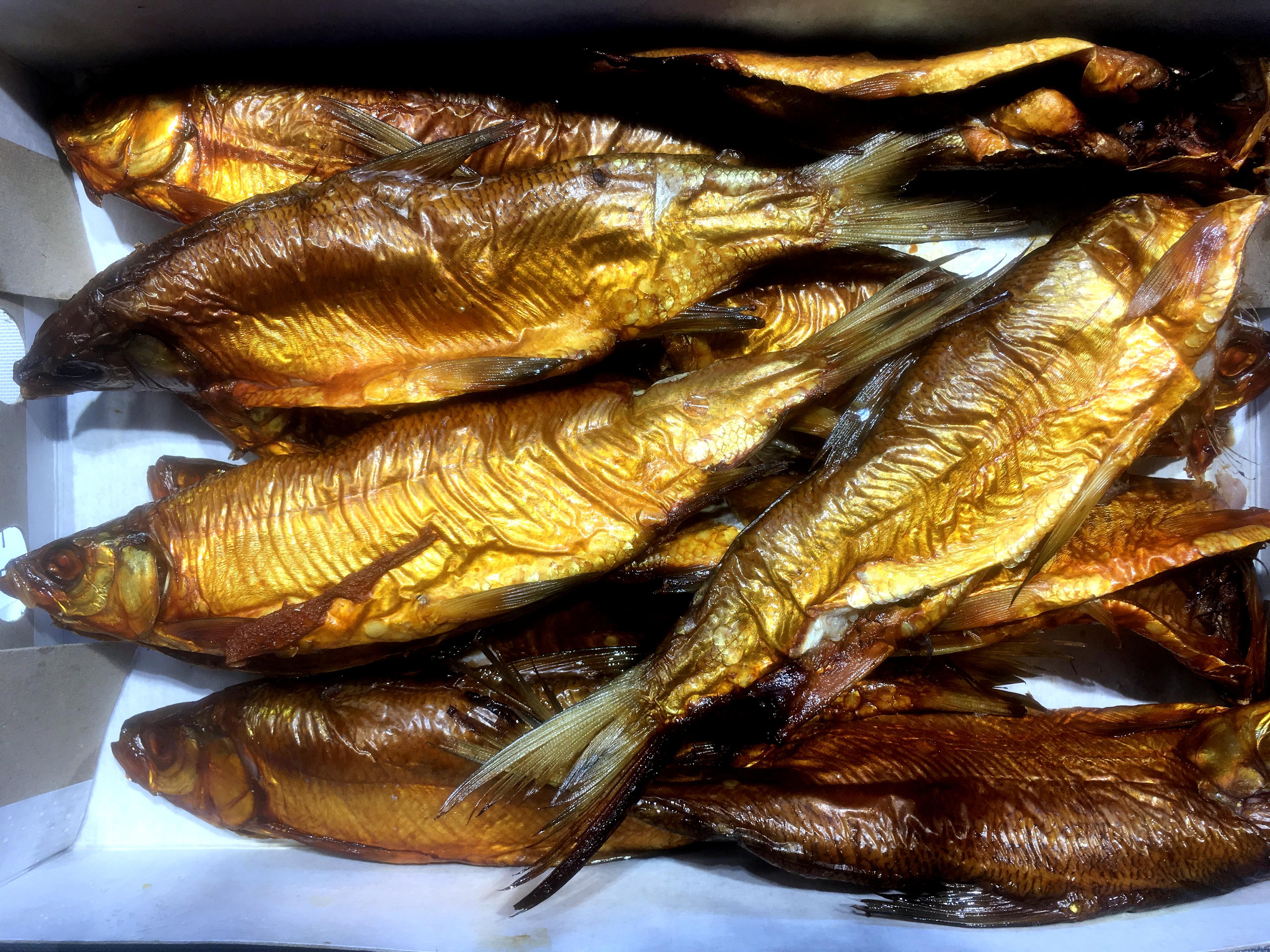 Sádky Lahovice foto 6