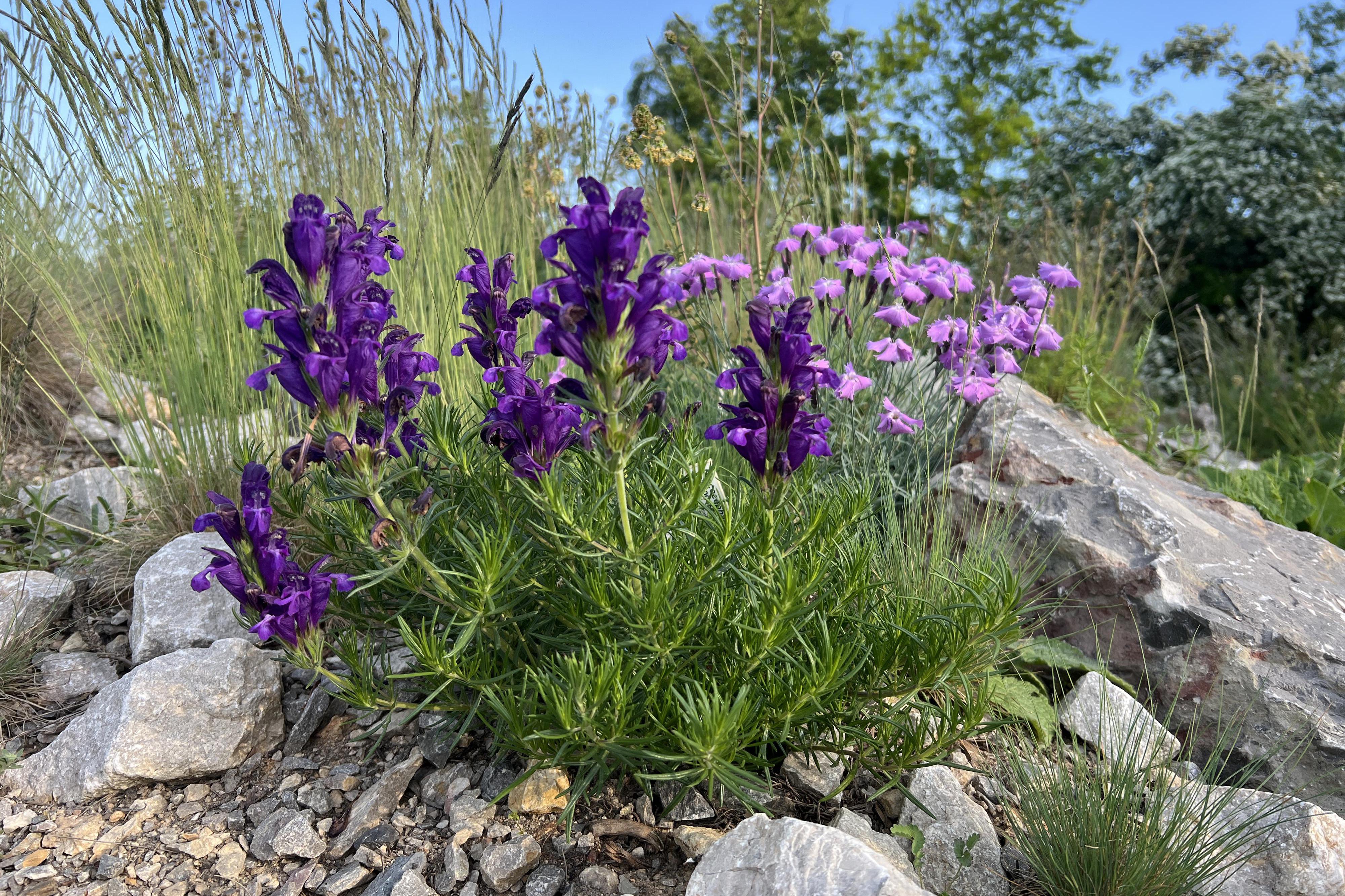 Unie botanických zahrad ČR