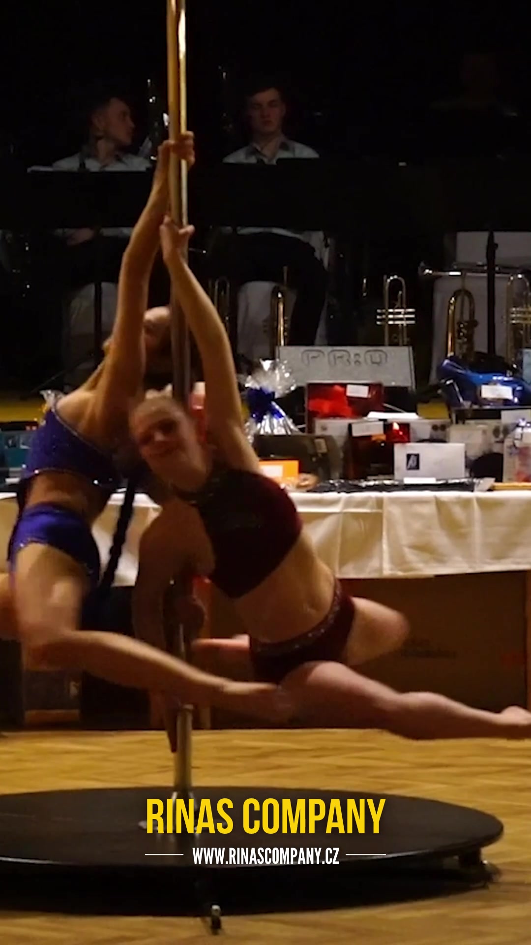Rinas Dance&ART foto 2 (náhled videa)