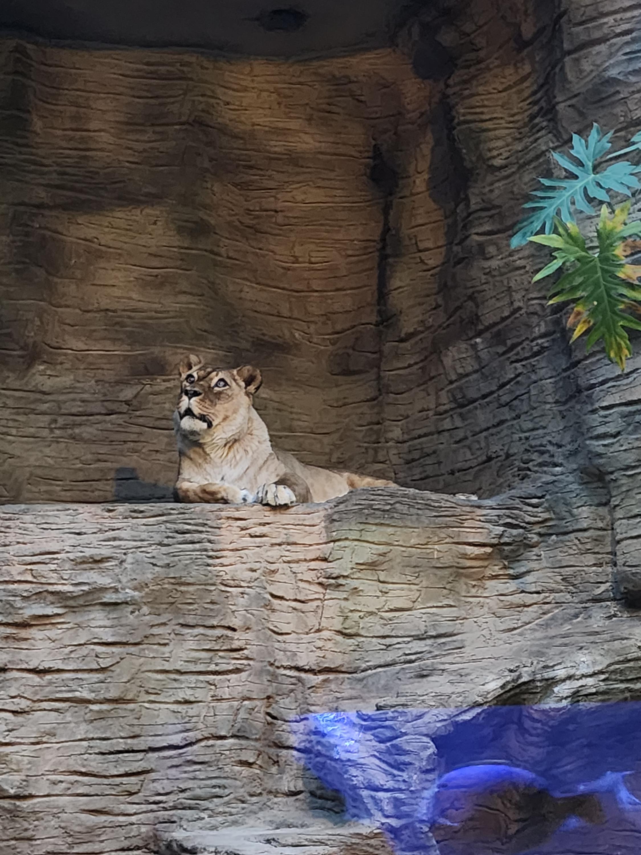 ZOOOLOMOUC foto 5