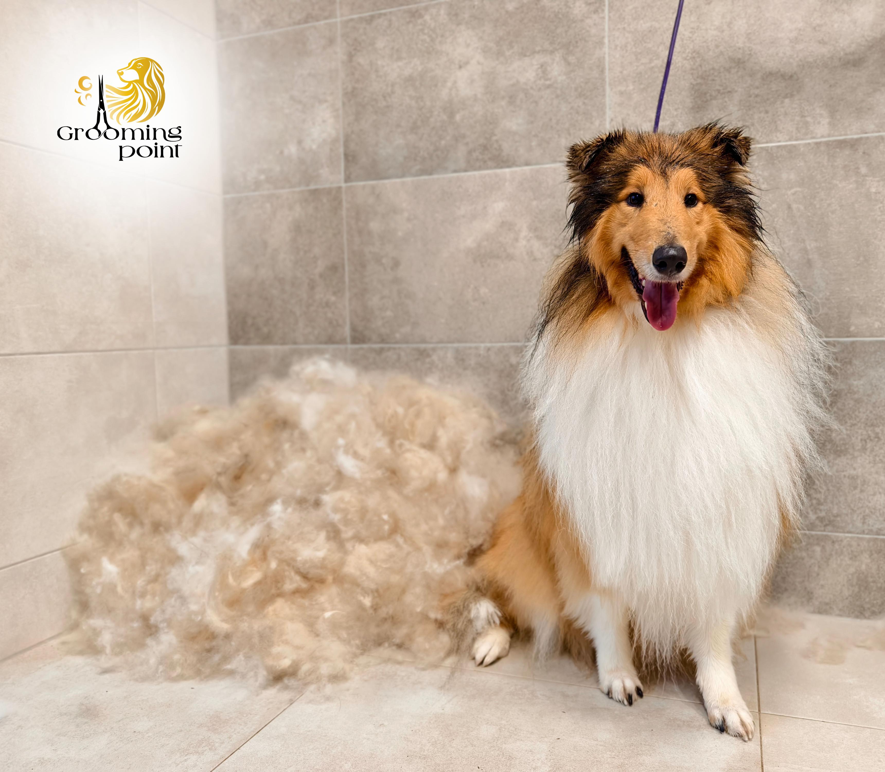 Grooming point foto 5