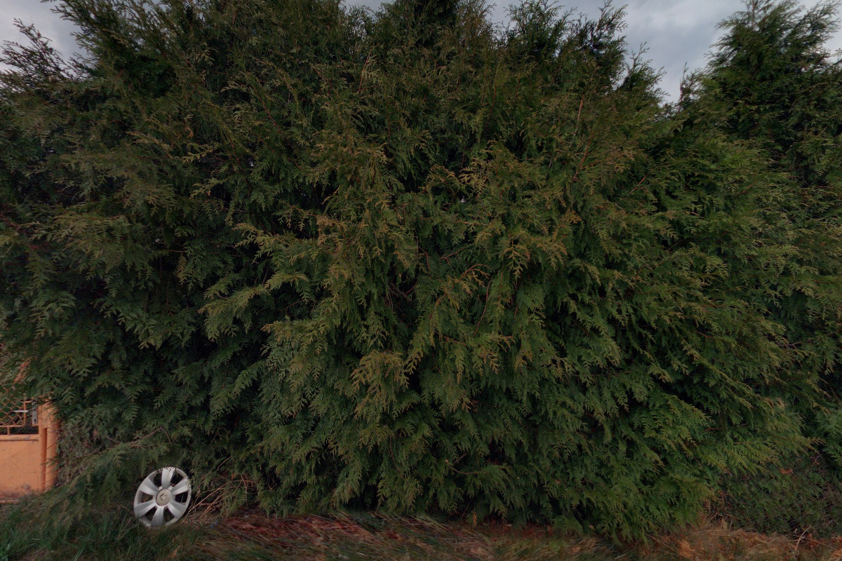 Velkoobchod ovoce a zeleniny František Navrátil