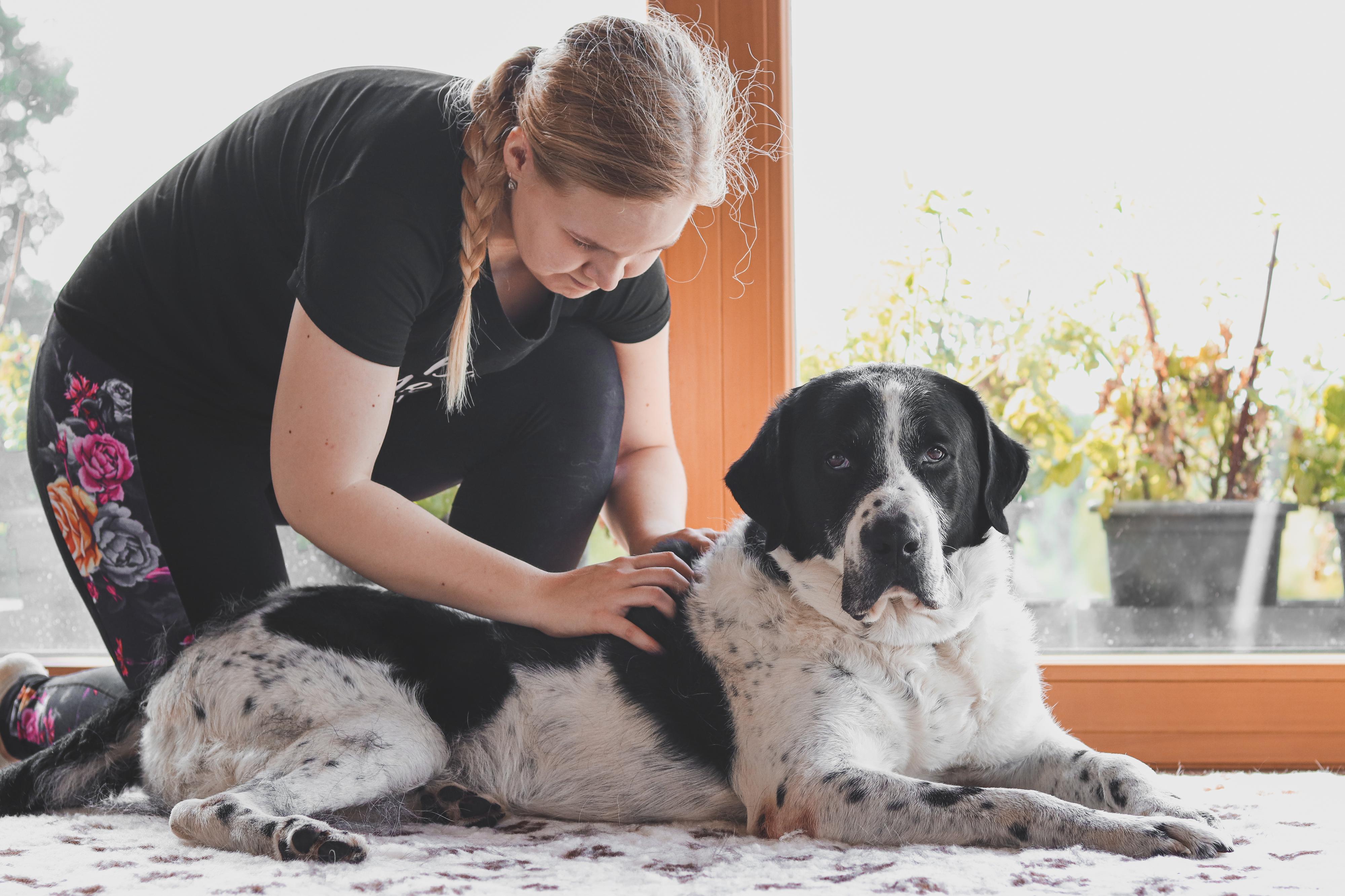 Terapie Tlapkami foto 4