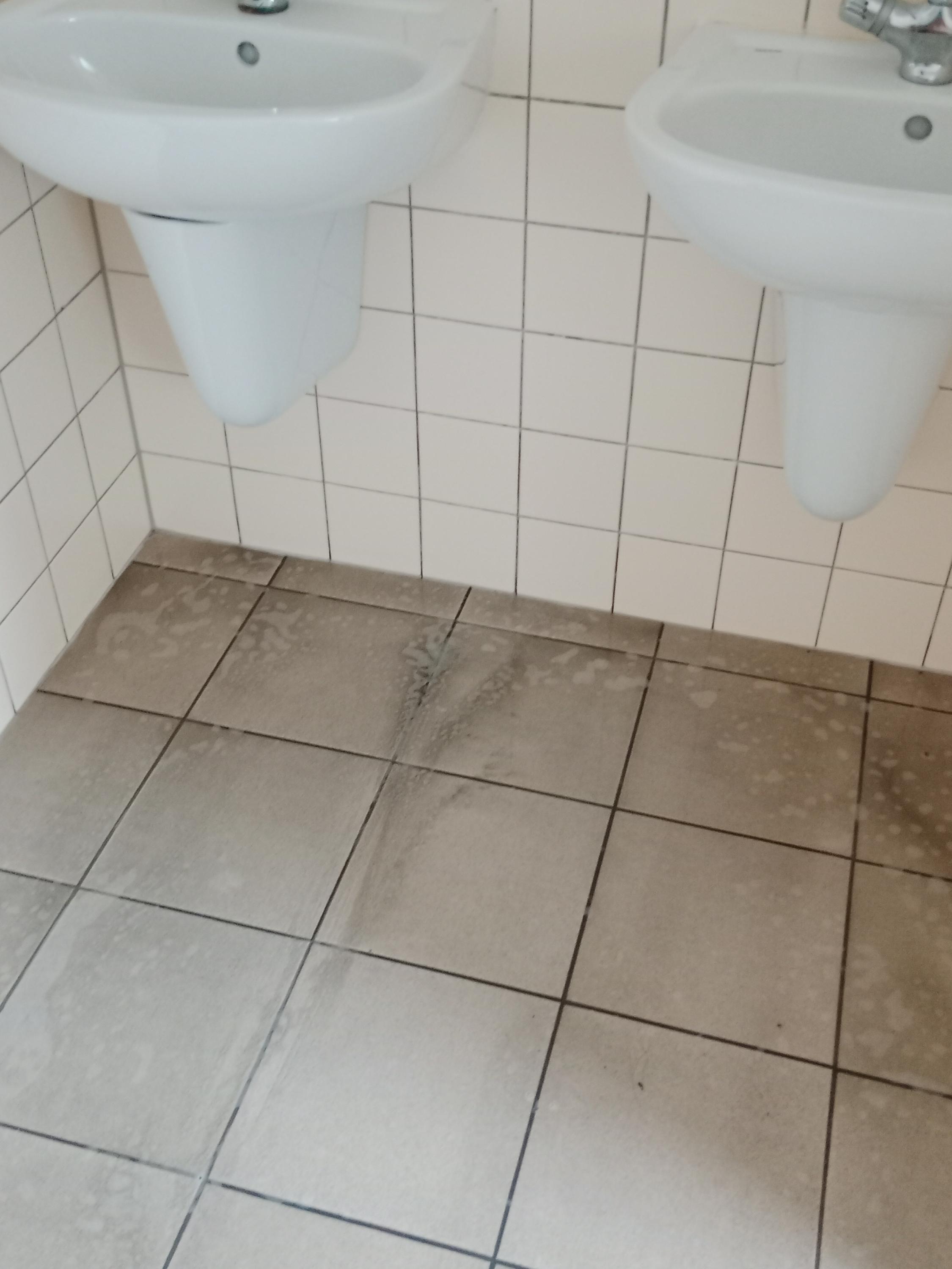 Čistý Domov foto 2