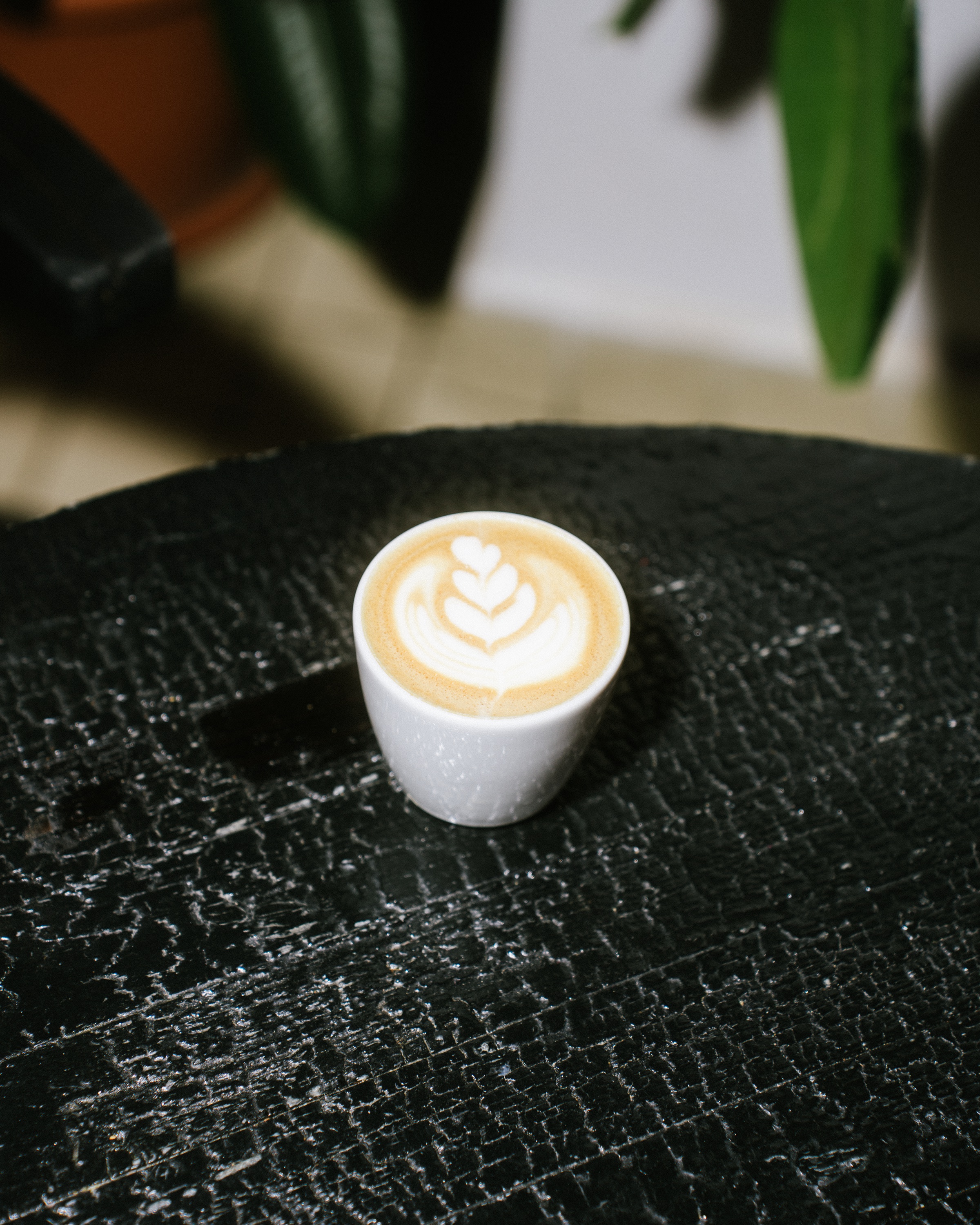 KAFE+ (Praha, Nové Město) • Firmy.cz