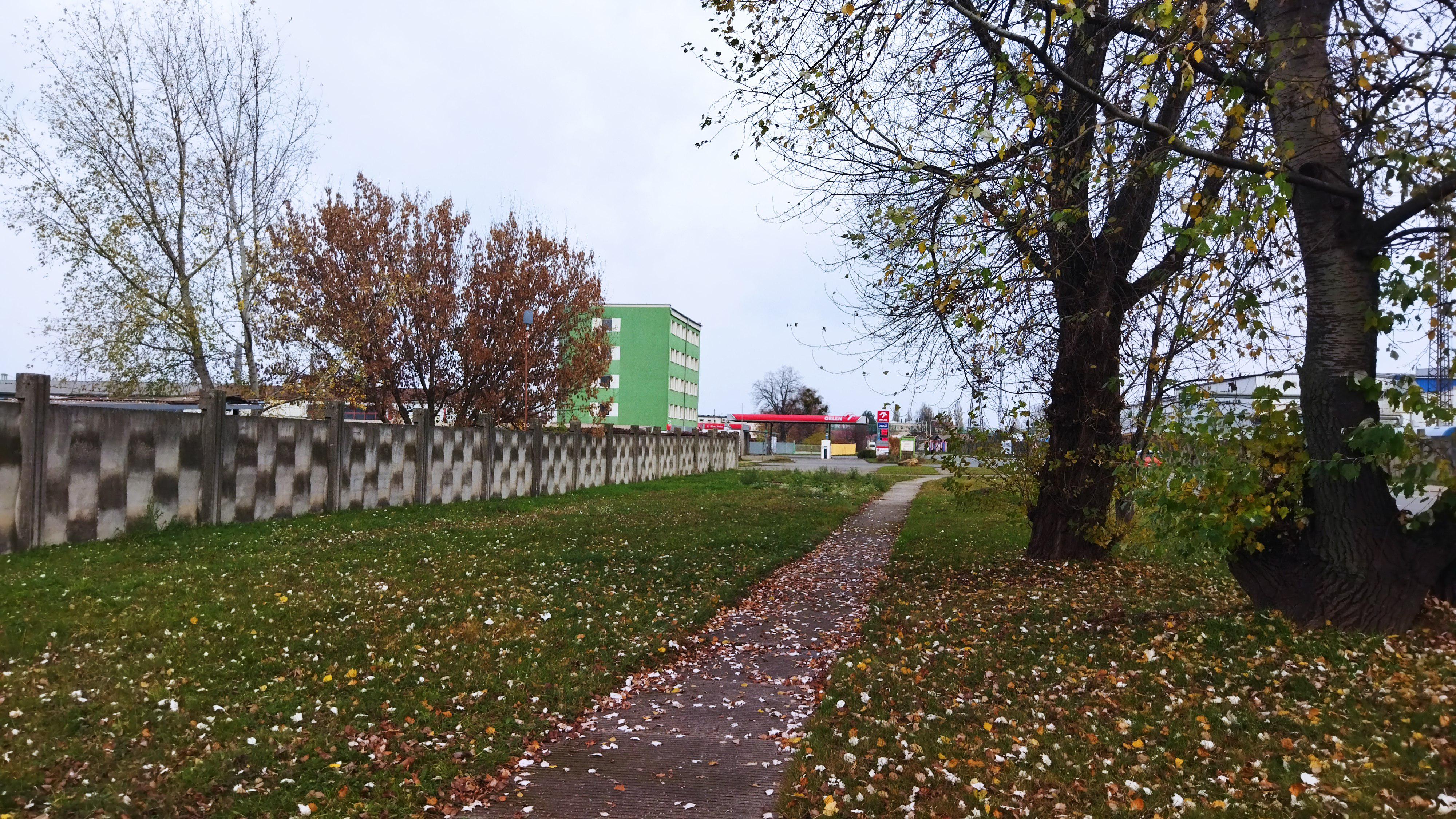 ORLEN foto 2