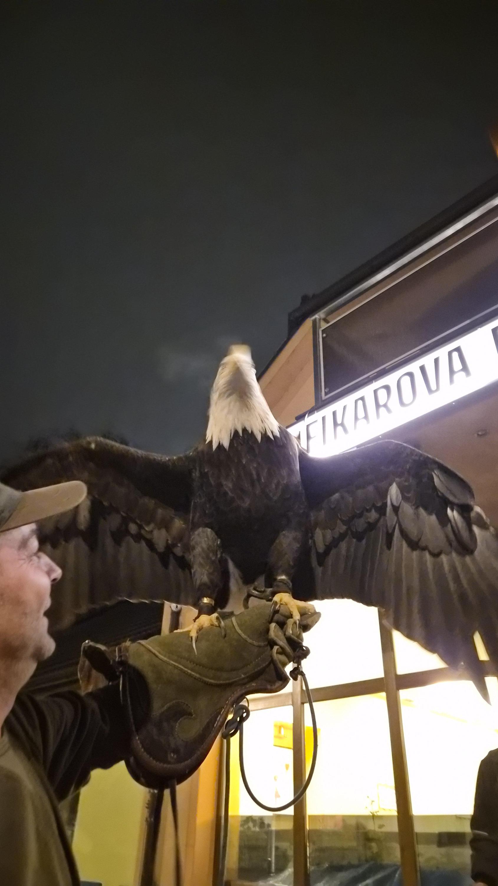 Fikarova plzeňská pivnice foto 6