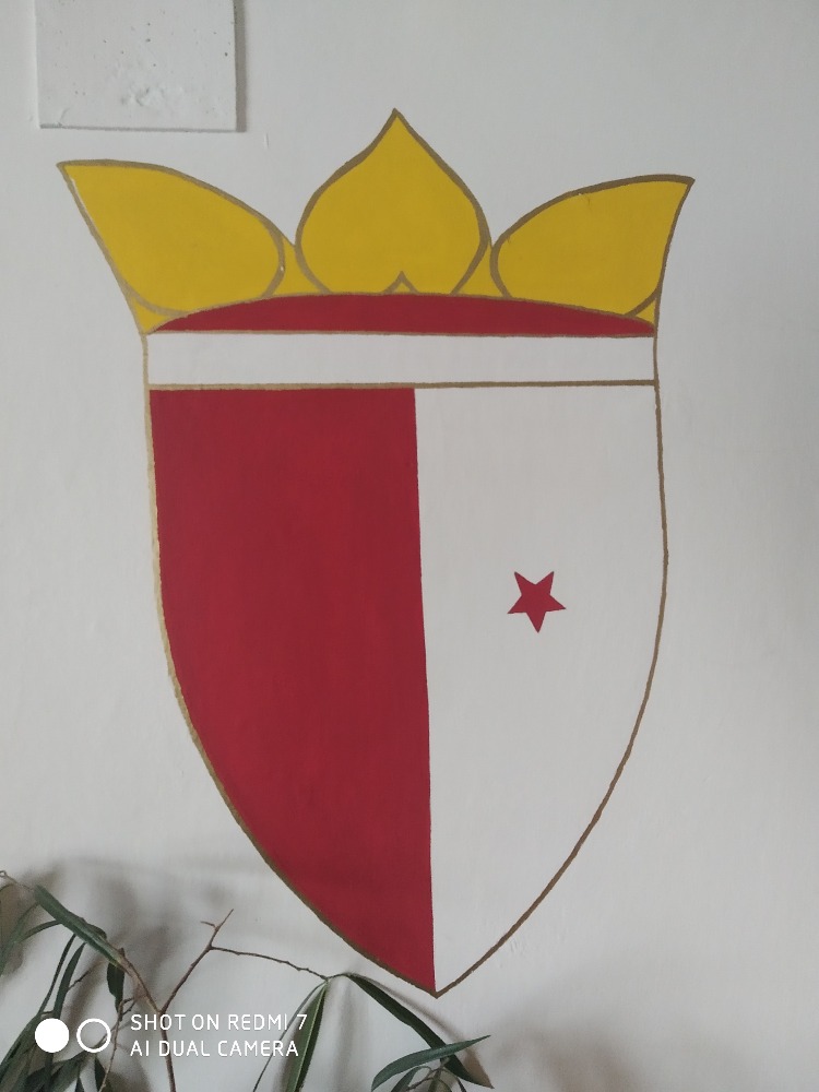 Tomáš Janoušek foto 4