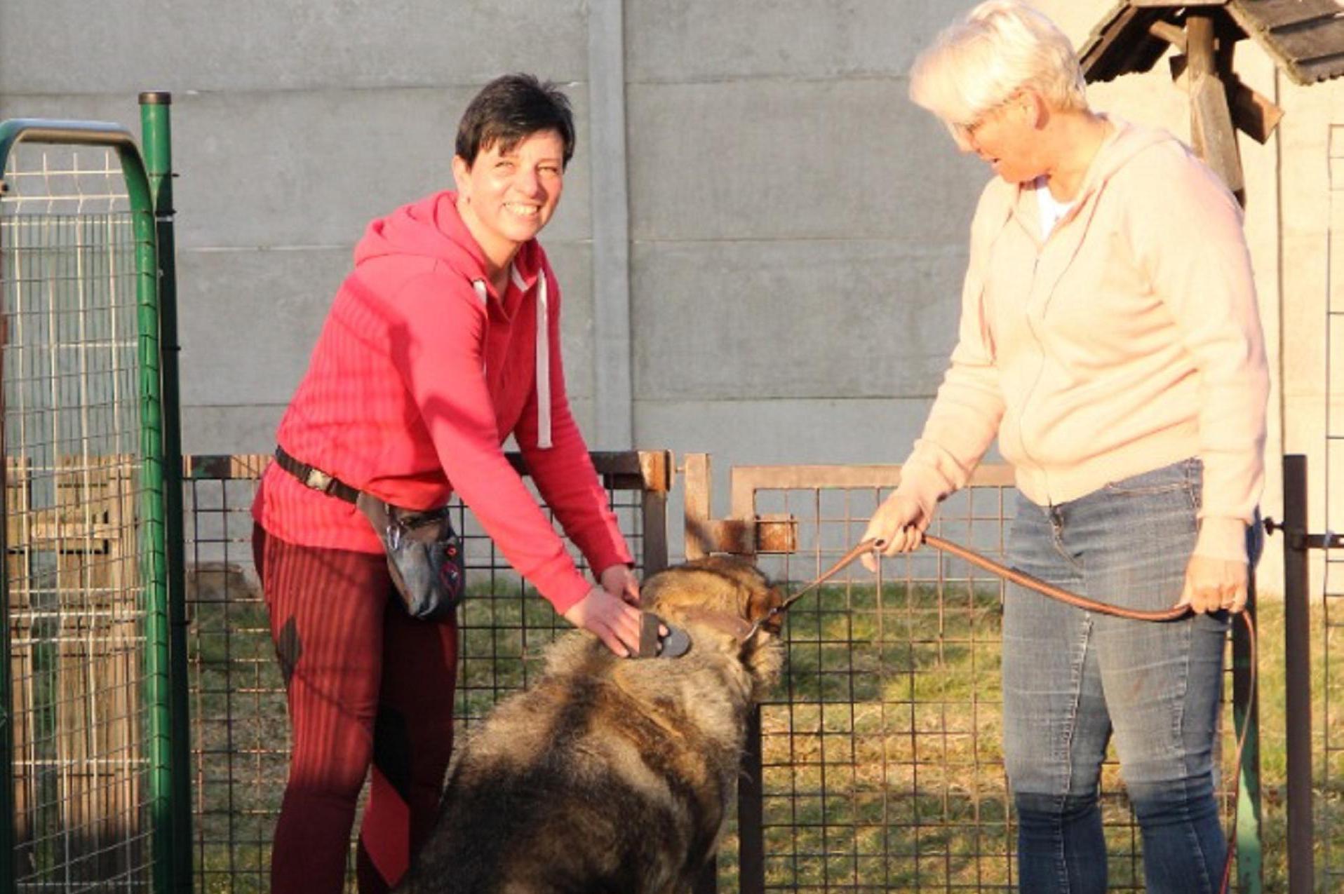 Prázdninové hlídání pejsků a kočiček