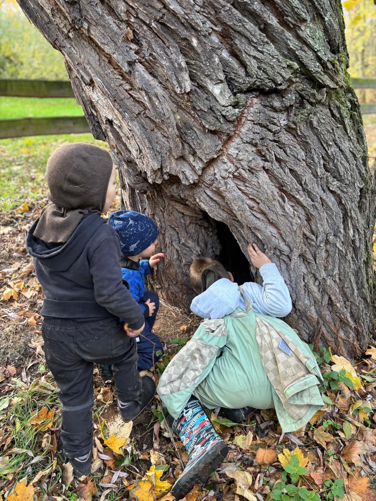 Malý farmář, z.s. - Farmářský lesní klub foto 3
