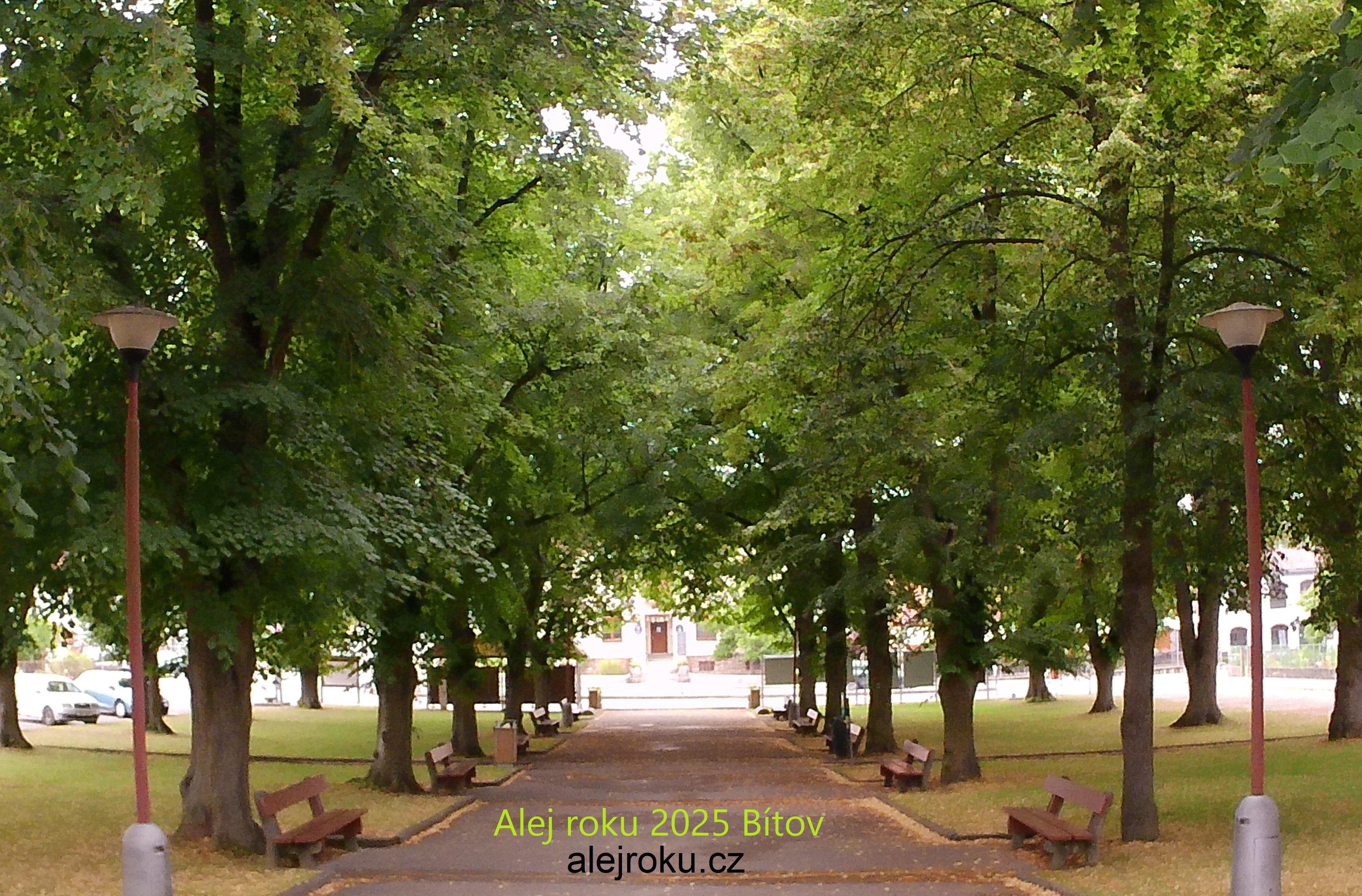 Bítov - obecní úřad foto 5