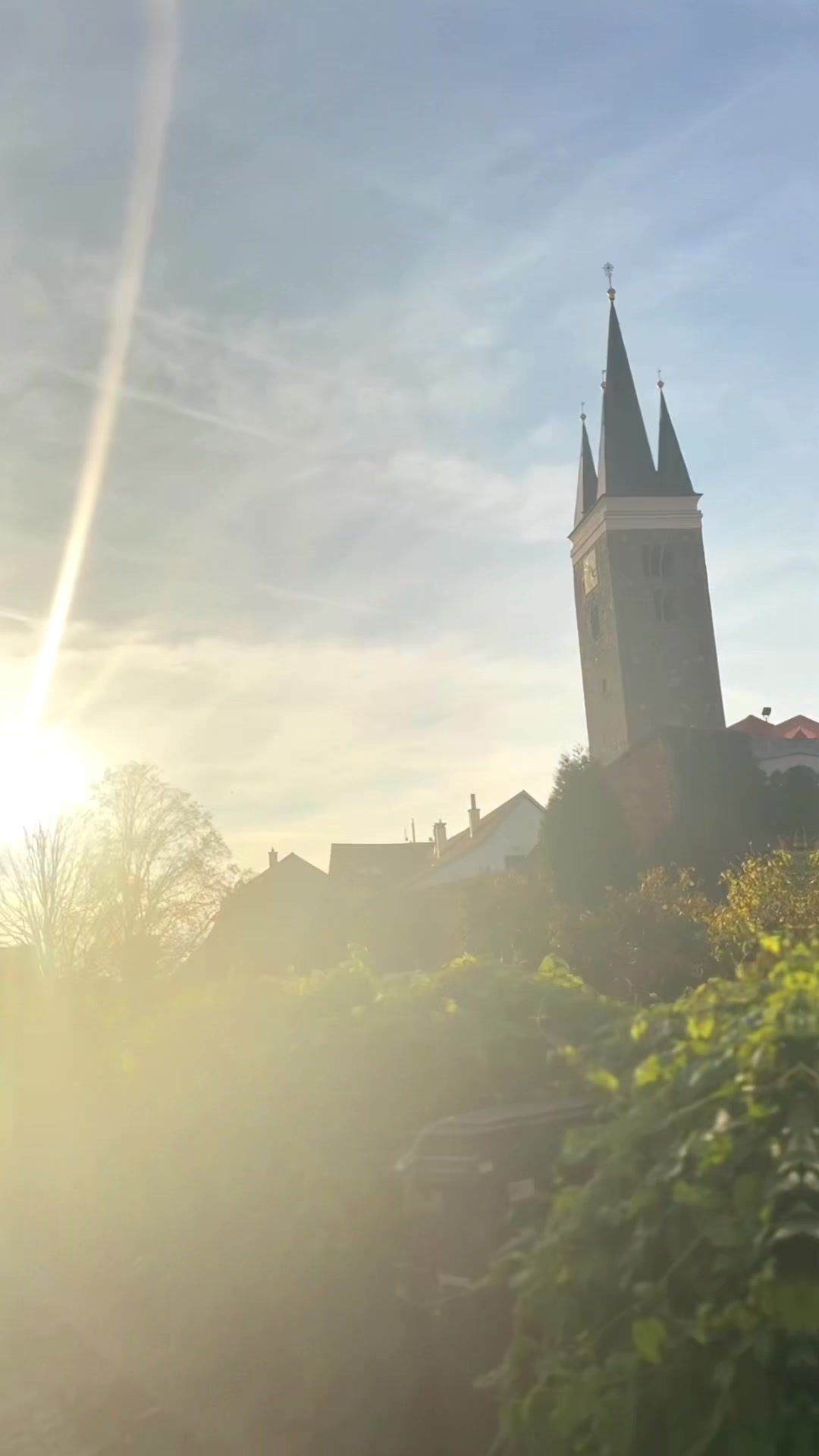 Pavla Anna Doležalová | REALO foto 2 (náhled videa)