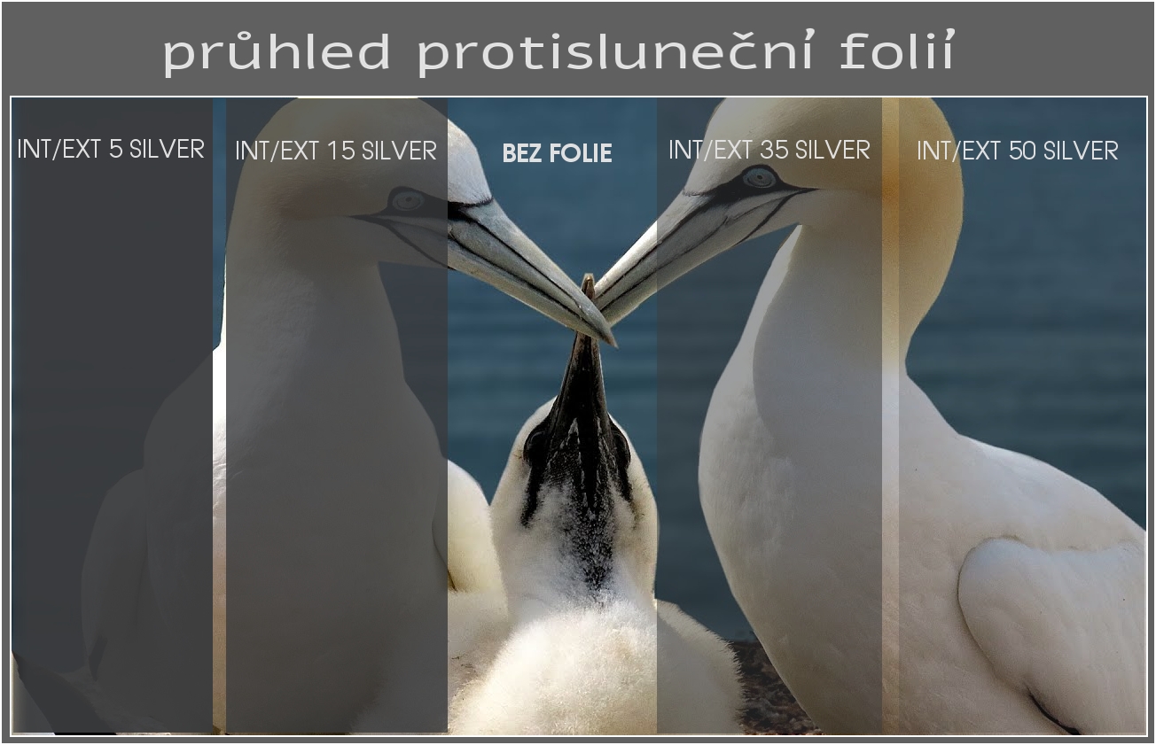 Folie na okna - Karel Zakar - GENESIS foto 5