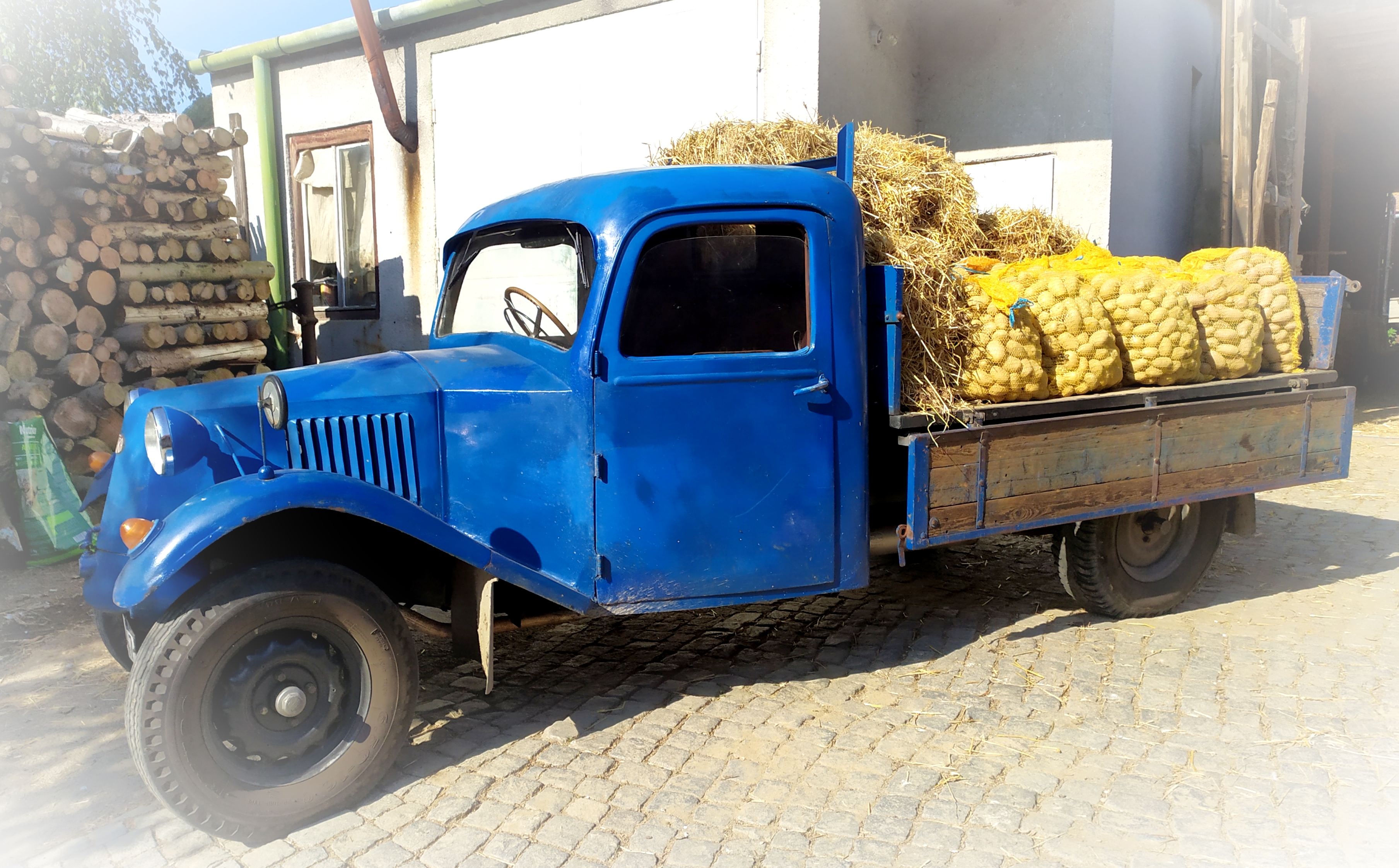 Brambory Dvořák foto 2