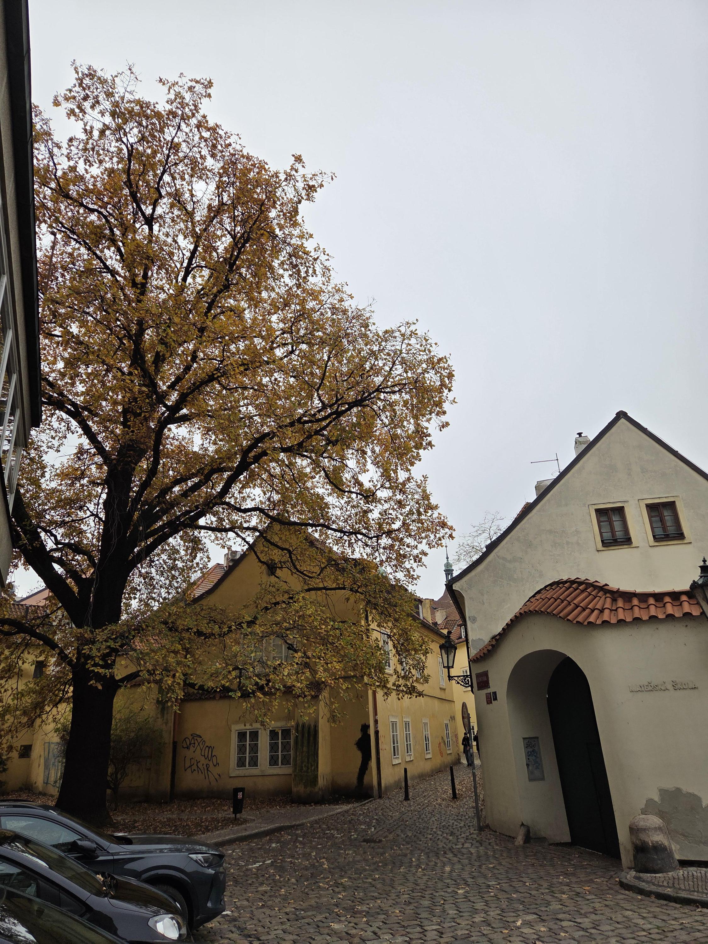 MŠ Praha 1, Řásnovka foto 3