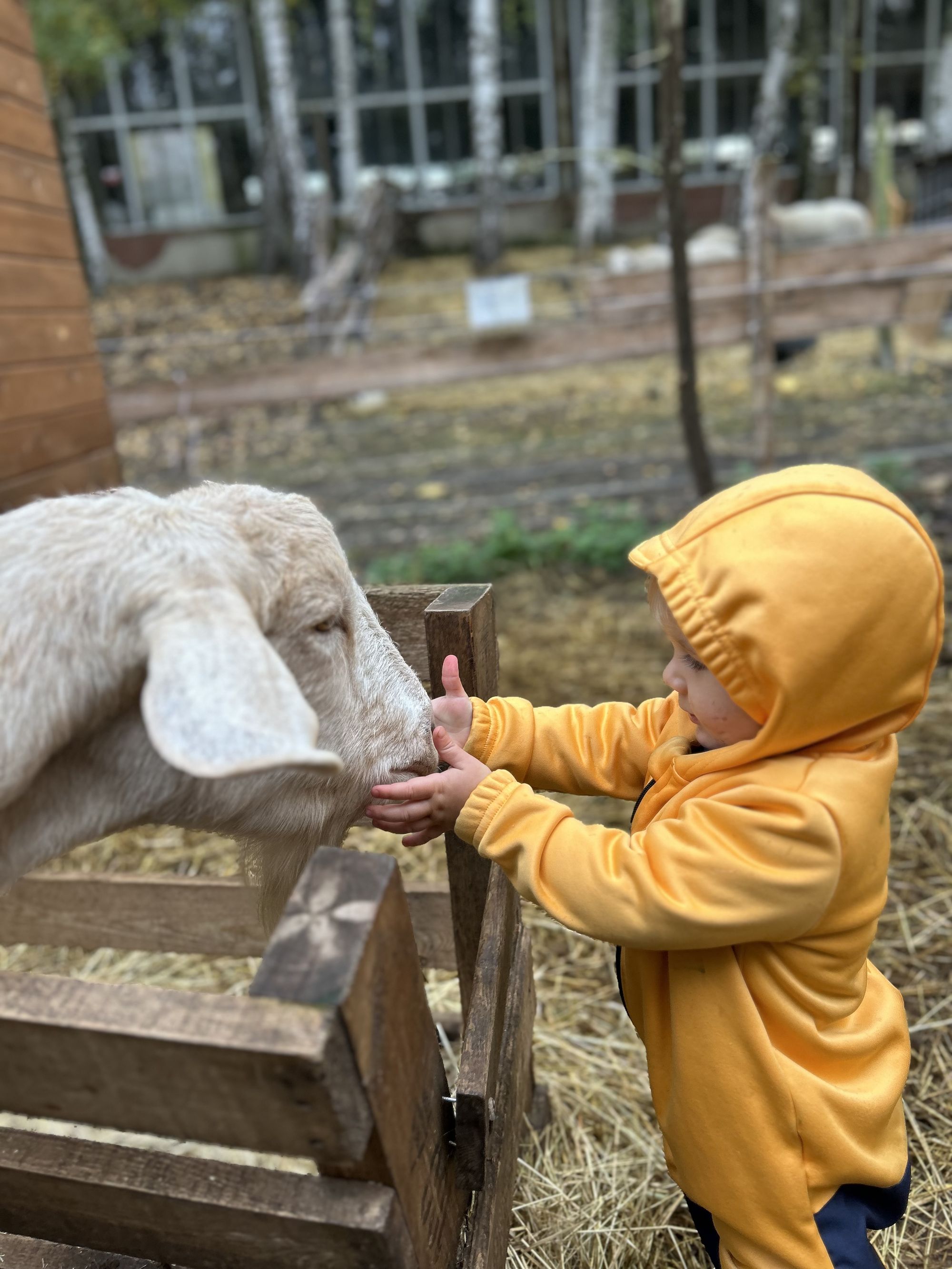 Malý farmář komunitní zahrada foto 6