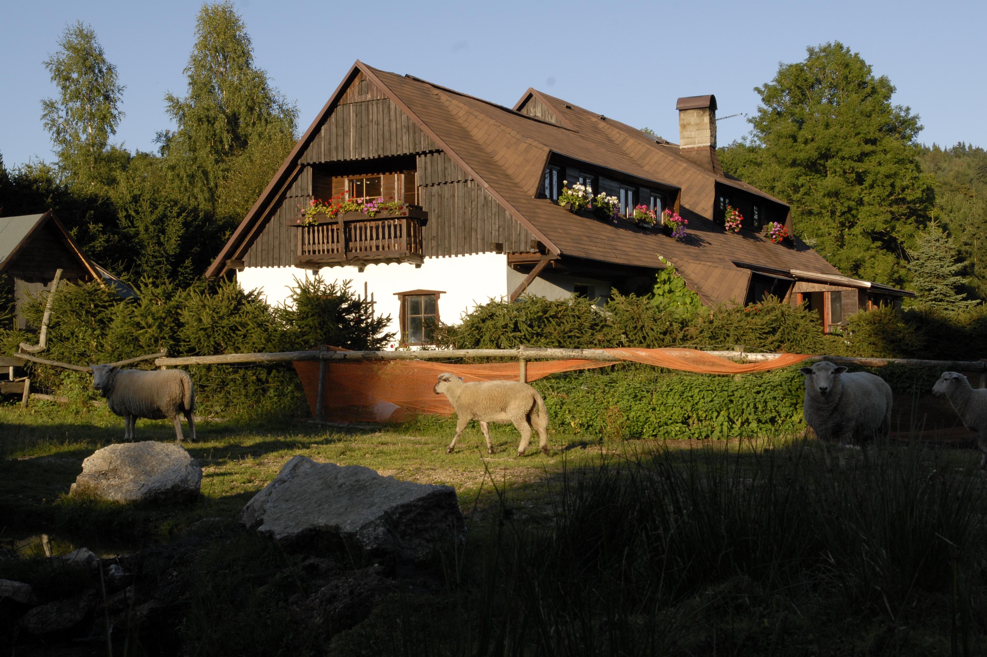 Ubytování U Bíců