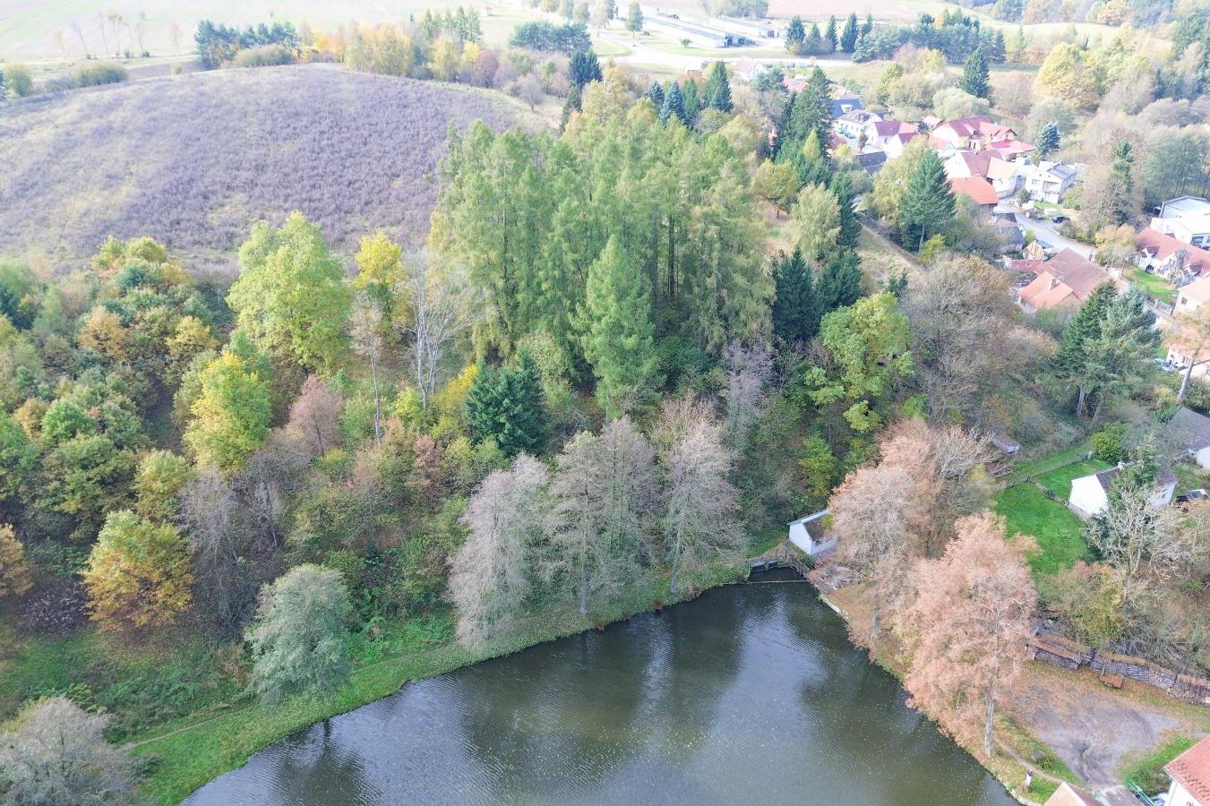 Prodej lesa 986 m² Kunžatecká, Strmilov