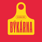 Vánoční dárkové balení – malé v obchodě Bykarna.cz