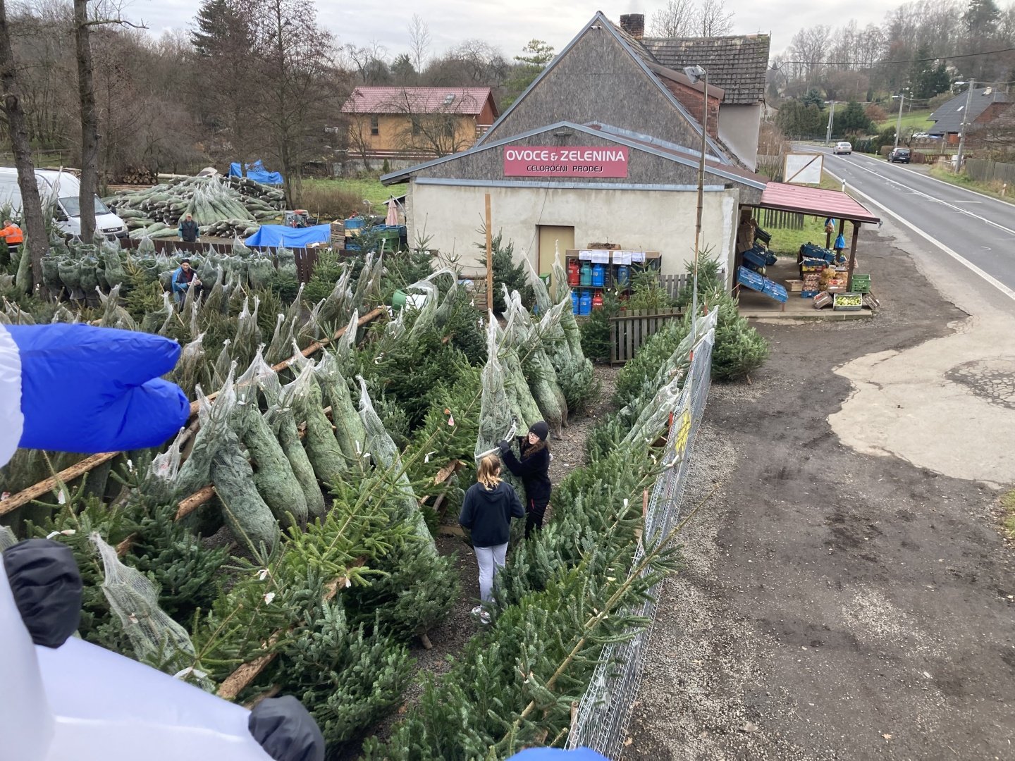 Prodej vánočních stromků - ZOO farma Bohatice foto 2