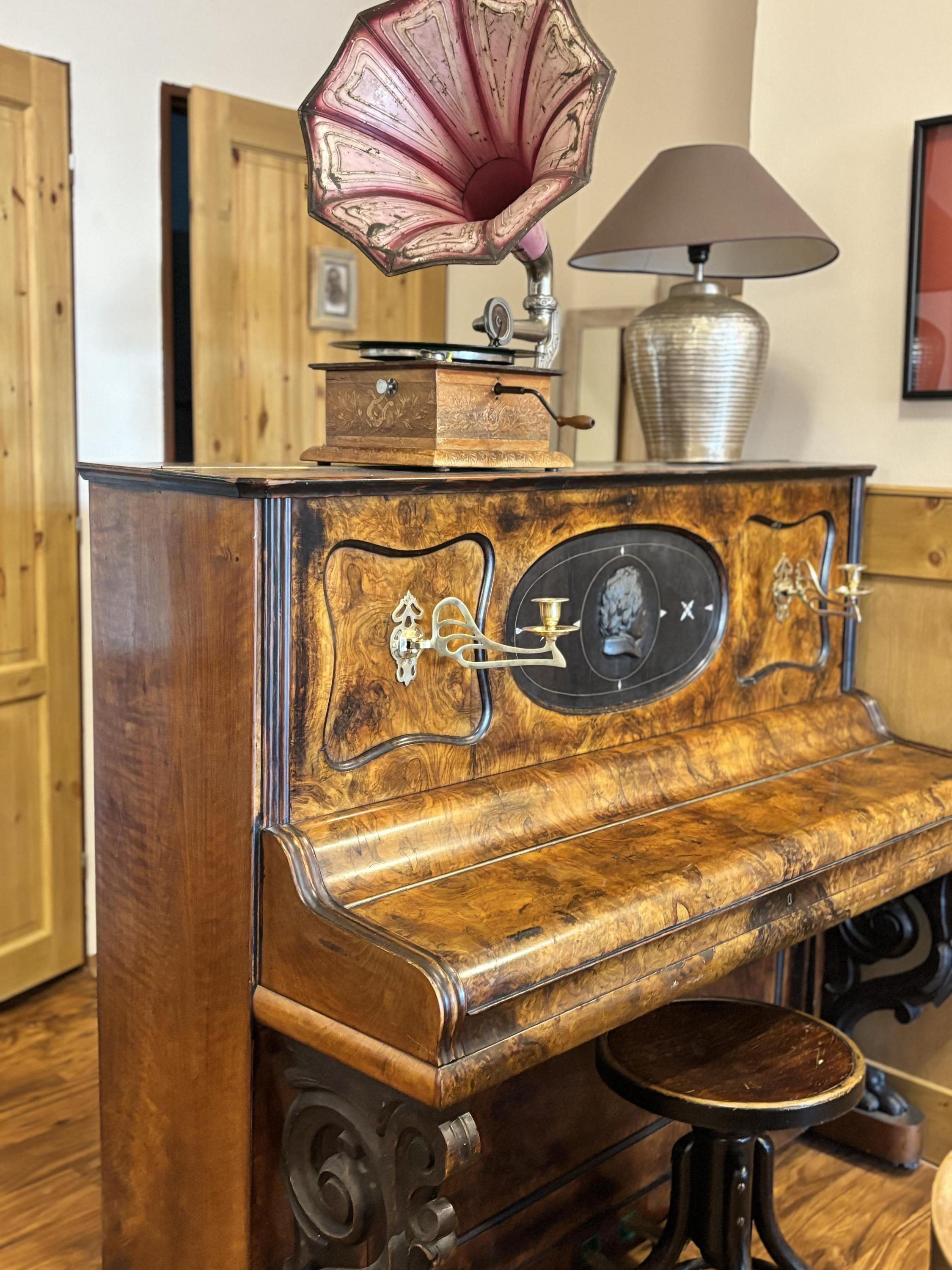 Bistro & kavárna U Českého lva foto 5