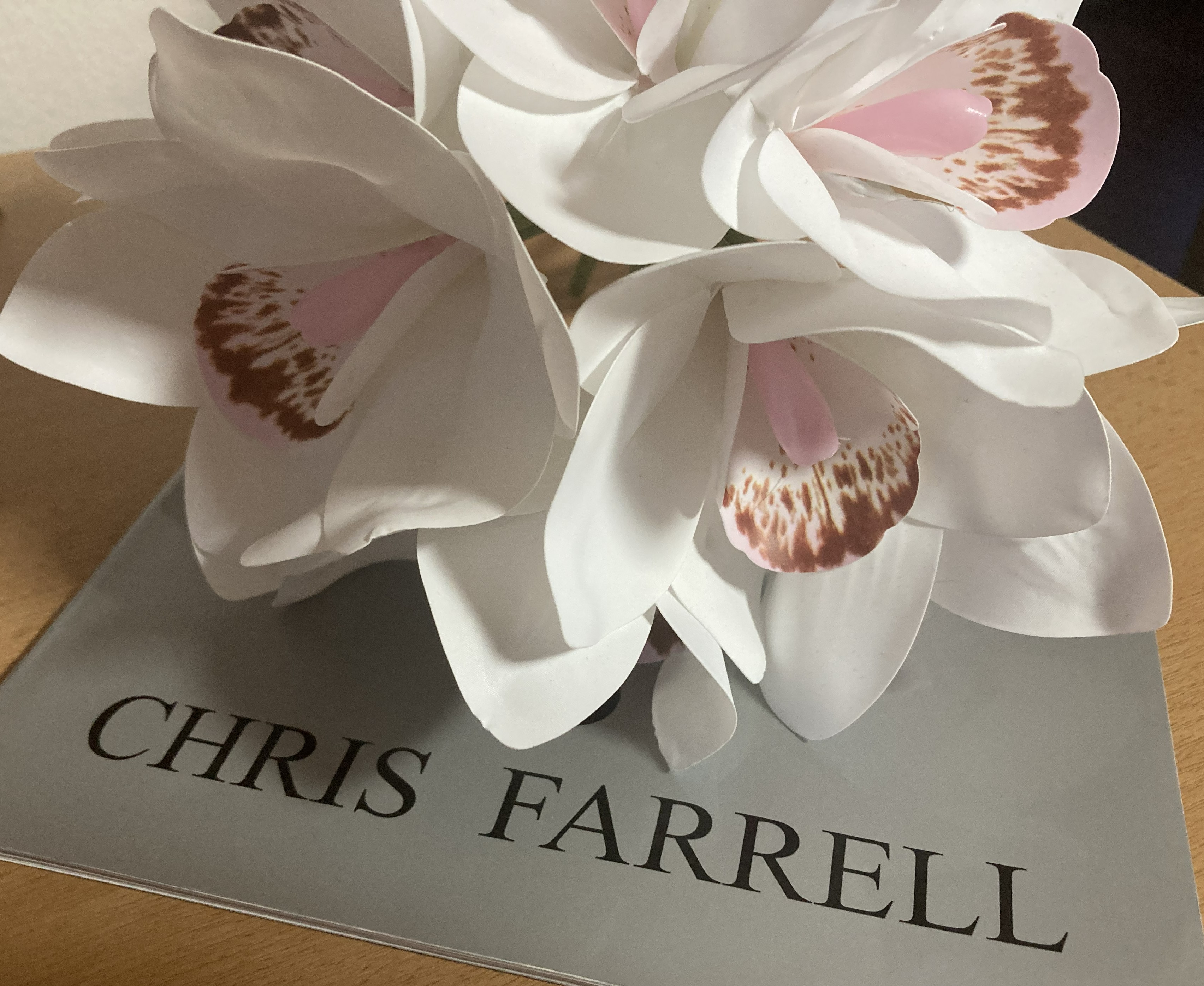 Kosmetický salon LILLY BEAUTY foto 4