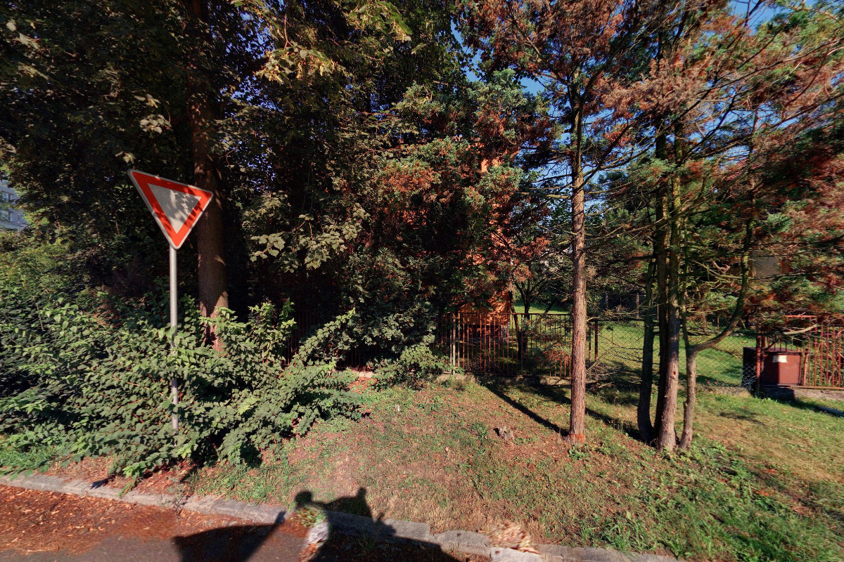 Hana Adamíková - koučka