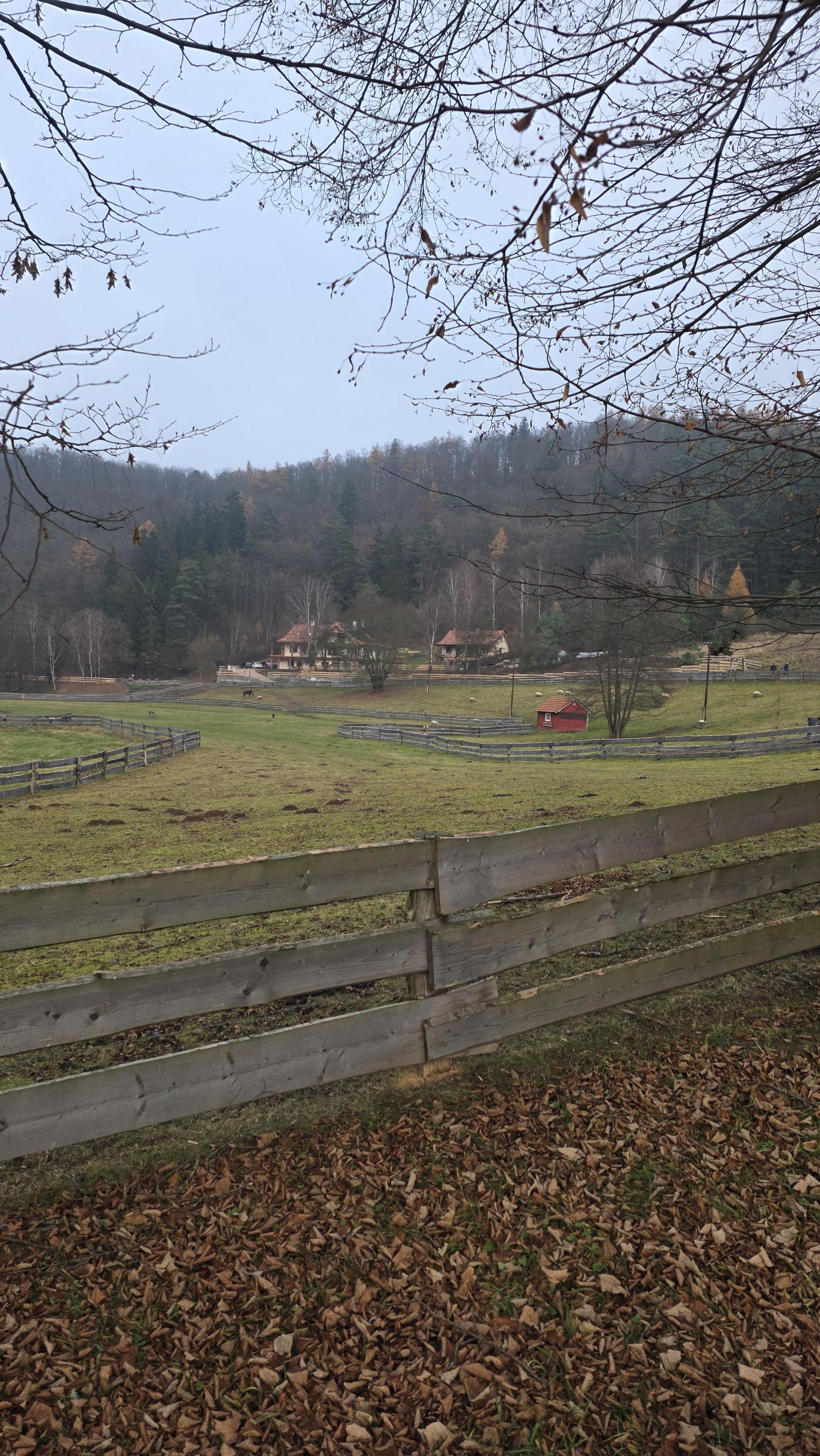 Statek Bedřiška foto 2