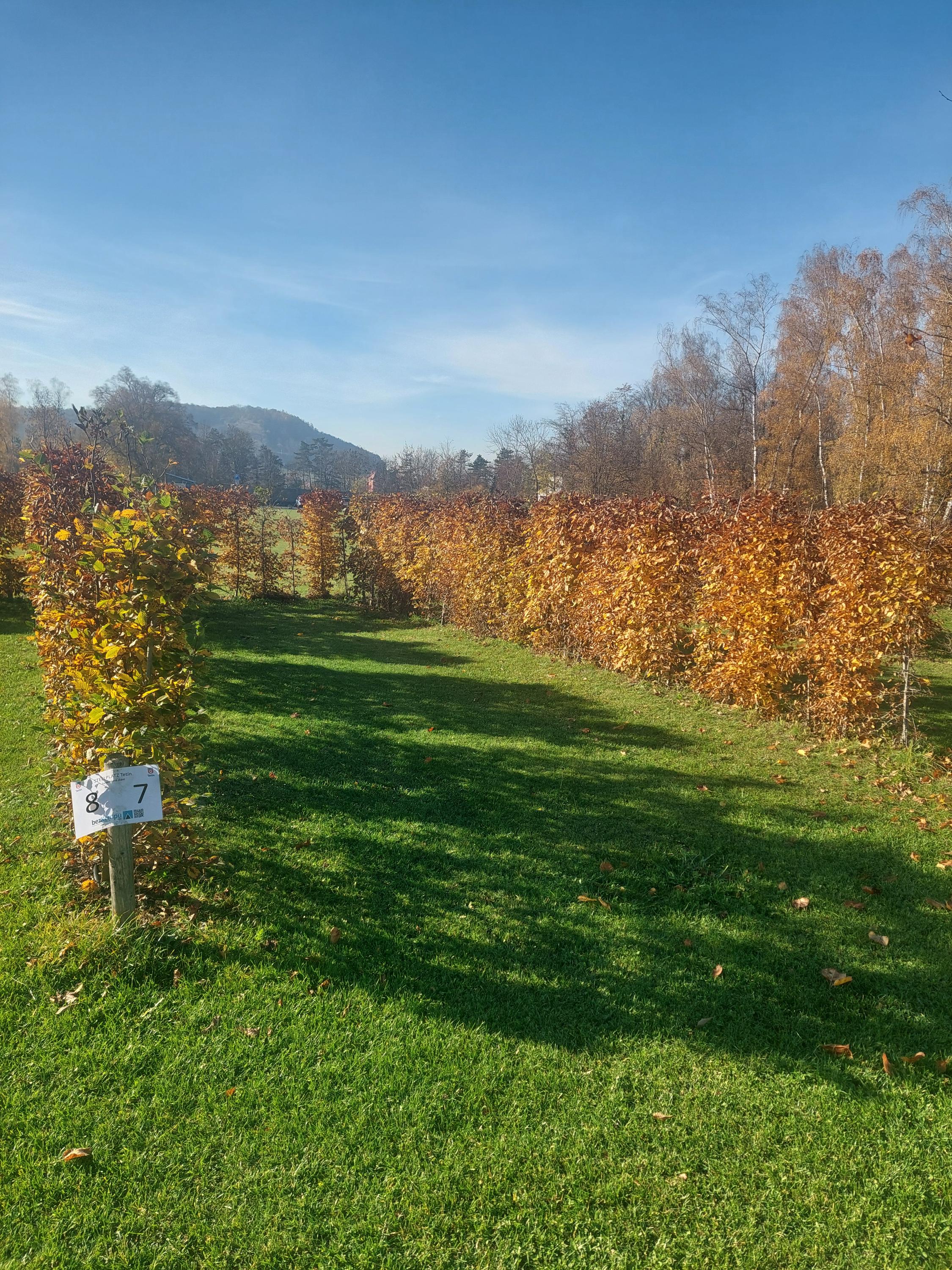 Stellplatz - Tetín u Berouna foto 5