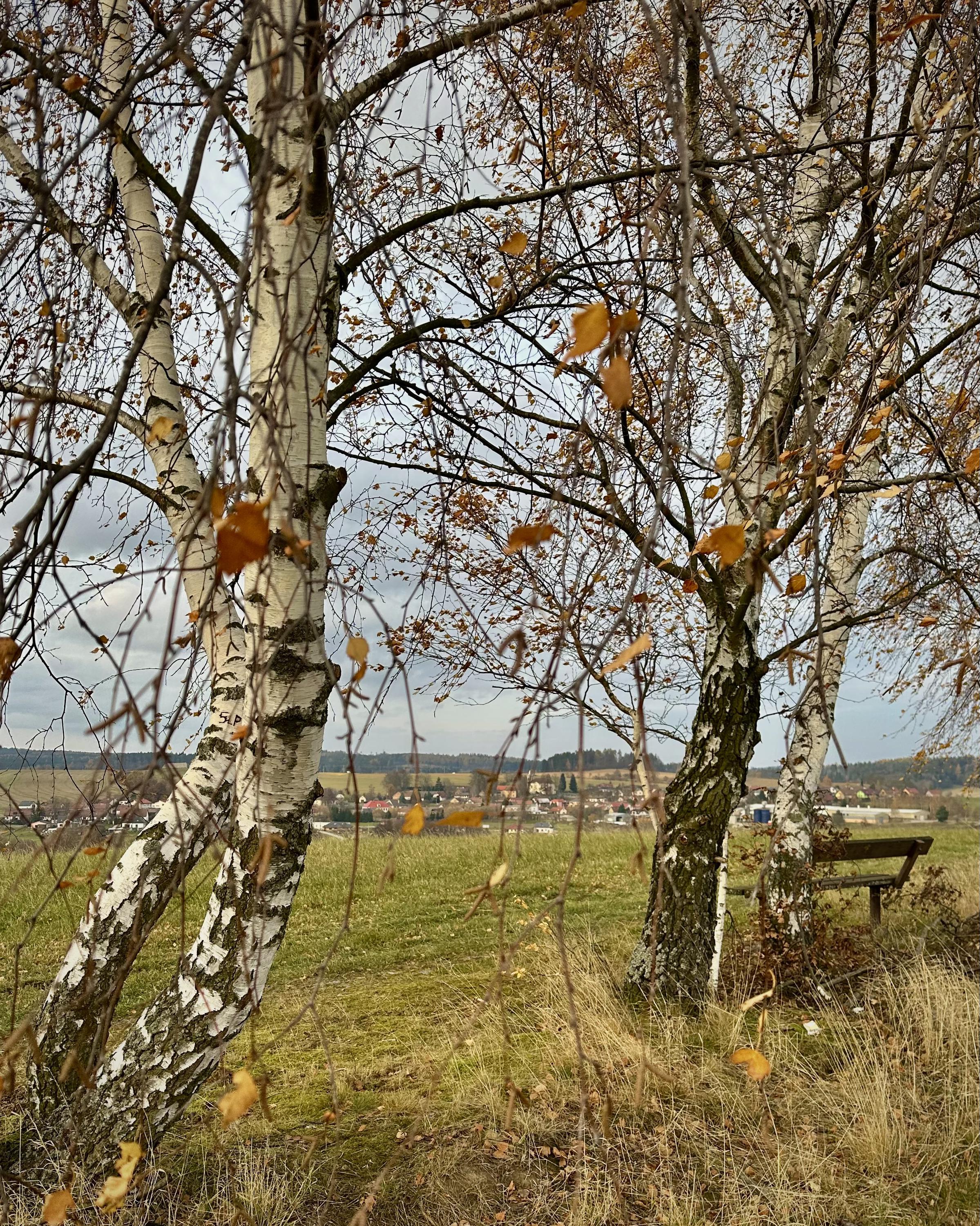 Boršov - obecní úřad foto 5