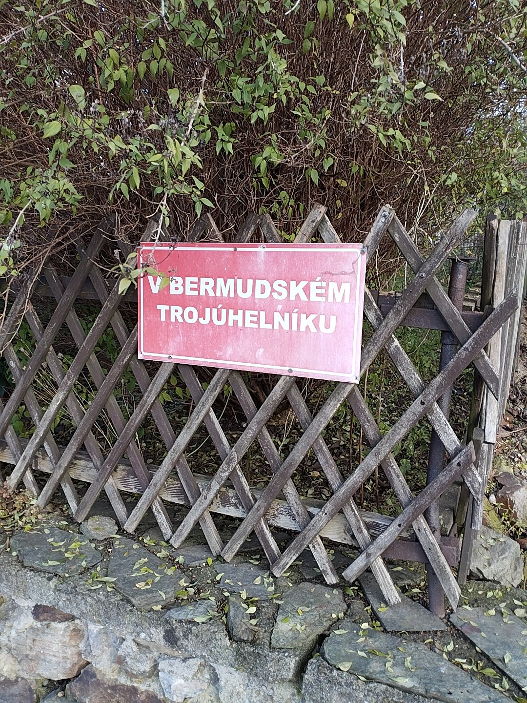 Světlá pod Ještědem - obecní úřad foto 3