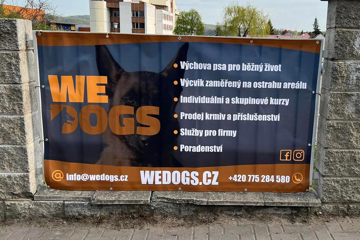 identio.cz foto 4
