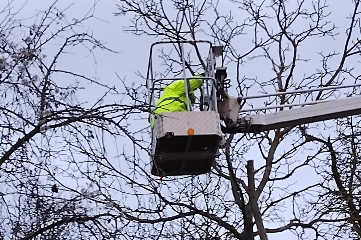 Jan Uhlíř - AVI plošiny