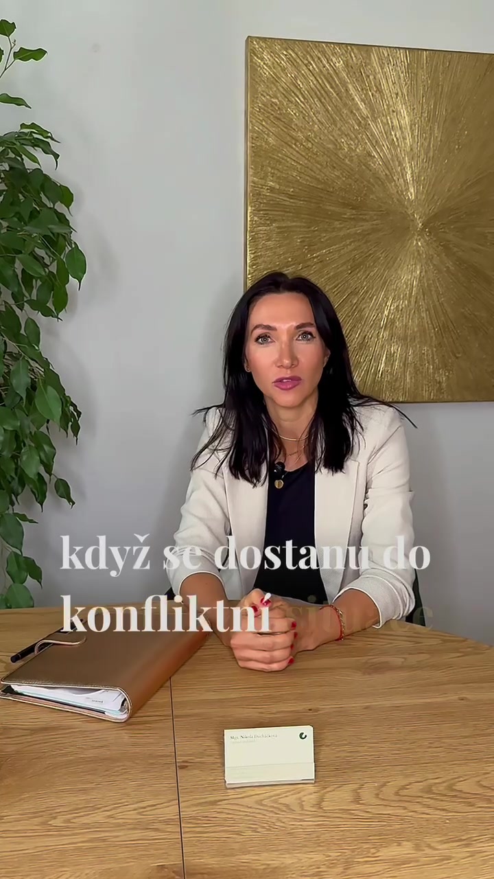 Mgr. Nikola Ducháčková - zapsaná mediátorka foto 2 (náhled videa)