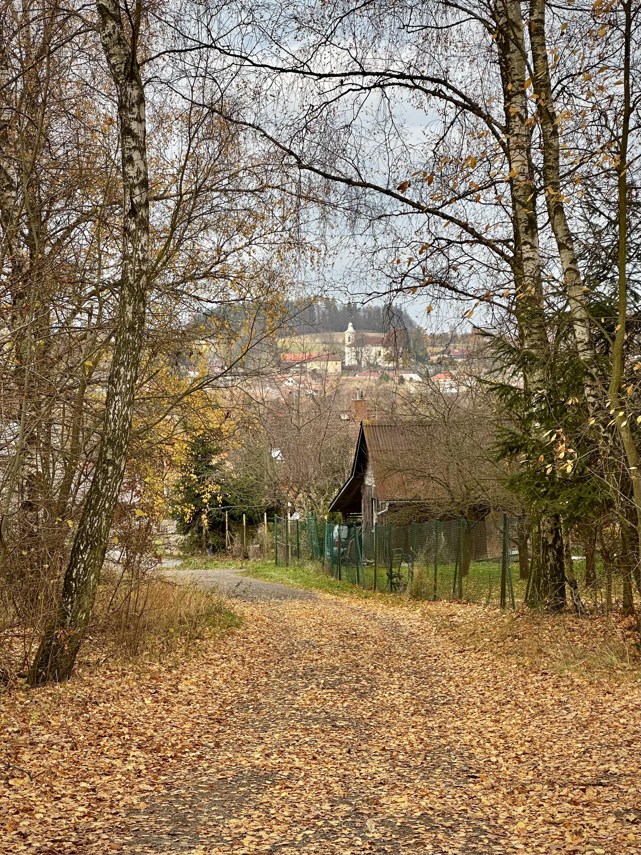 Boršov - obecní úřad foto 4