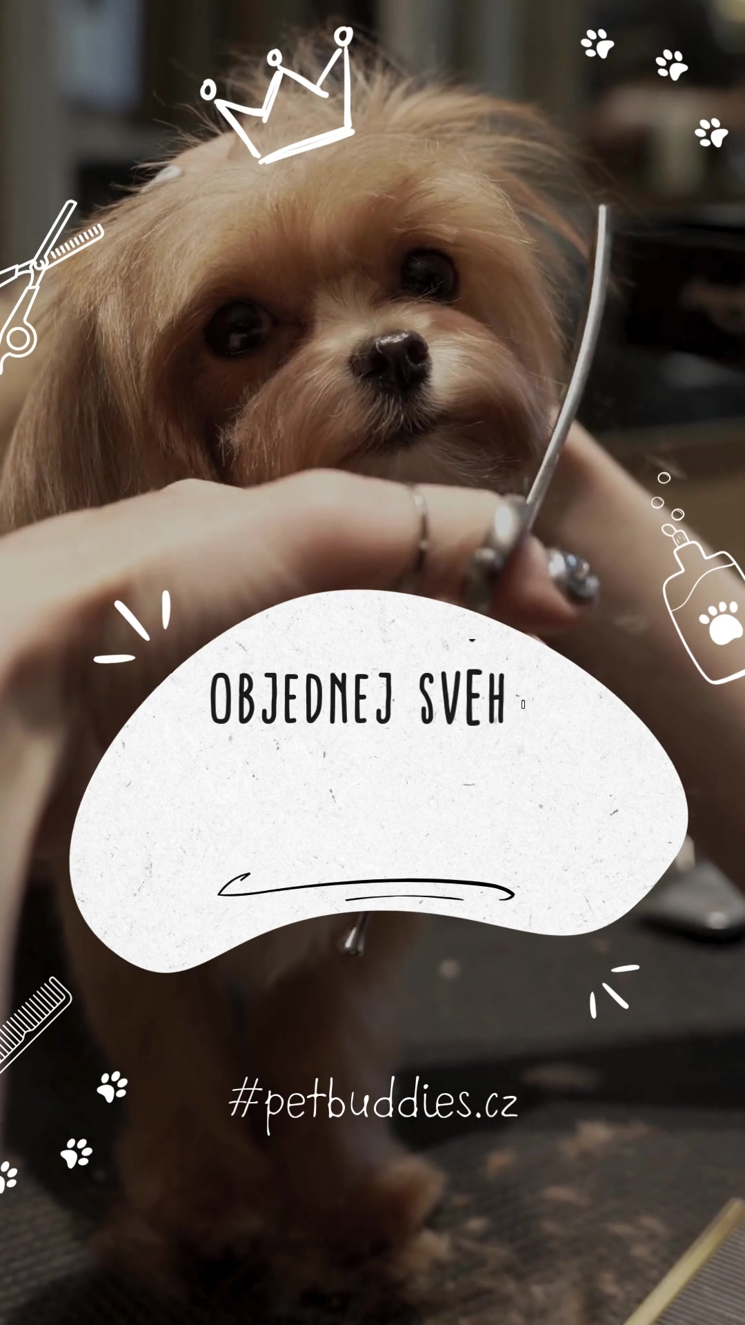 PET BUDDIES foto 2 (náhled videa)