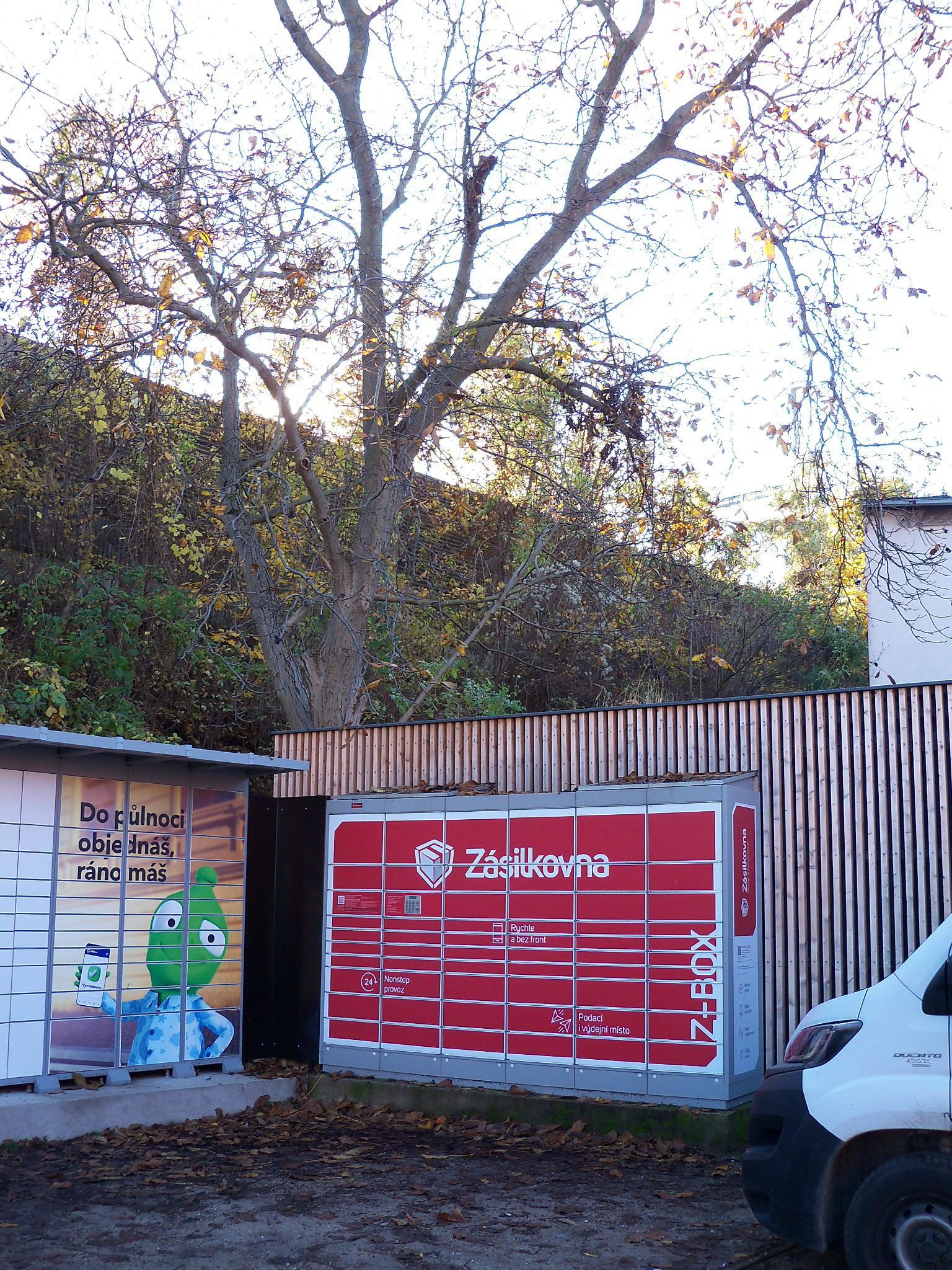 Z-BOX foto 1
