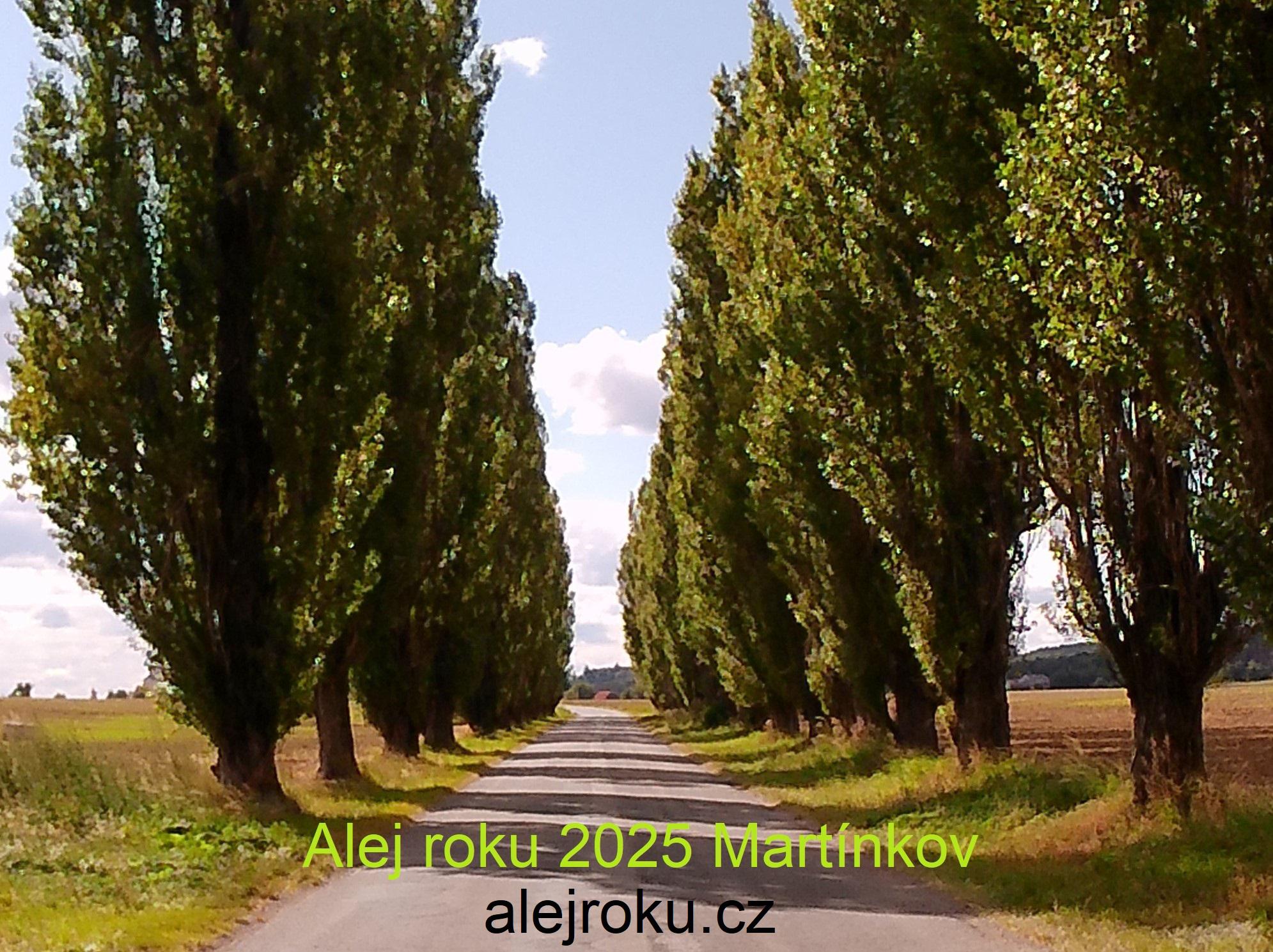 Martínkov - obecní úřad foto 2