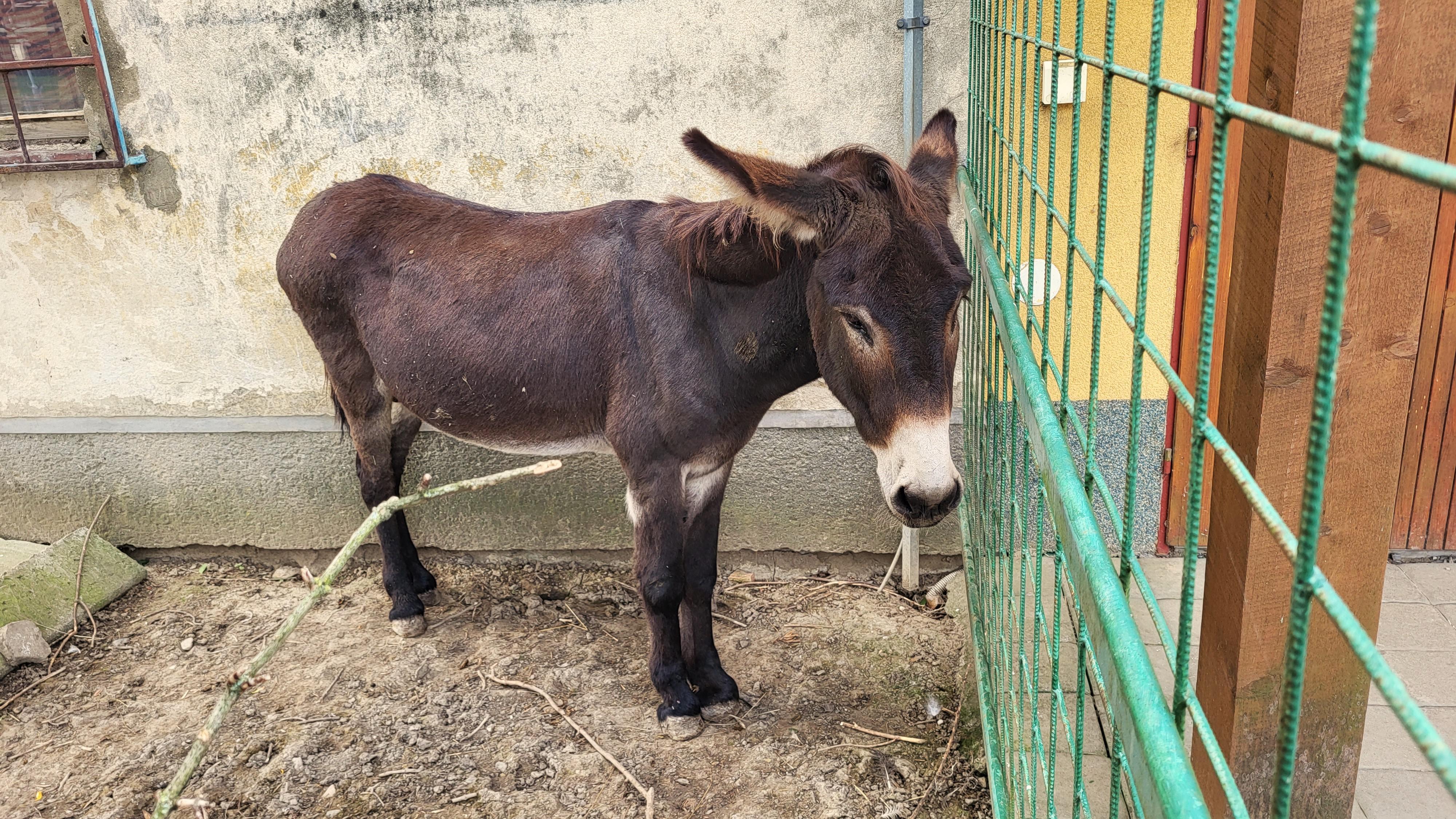 Zašívárna U Osla foto 2
