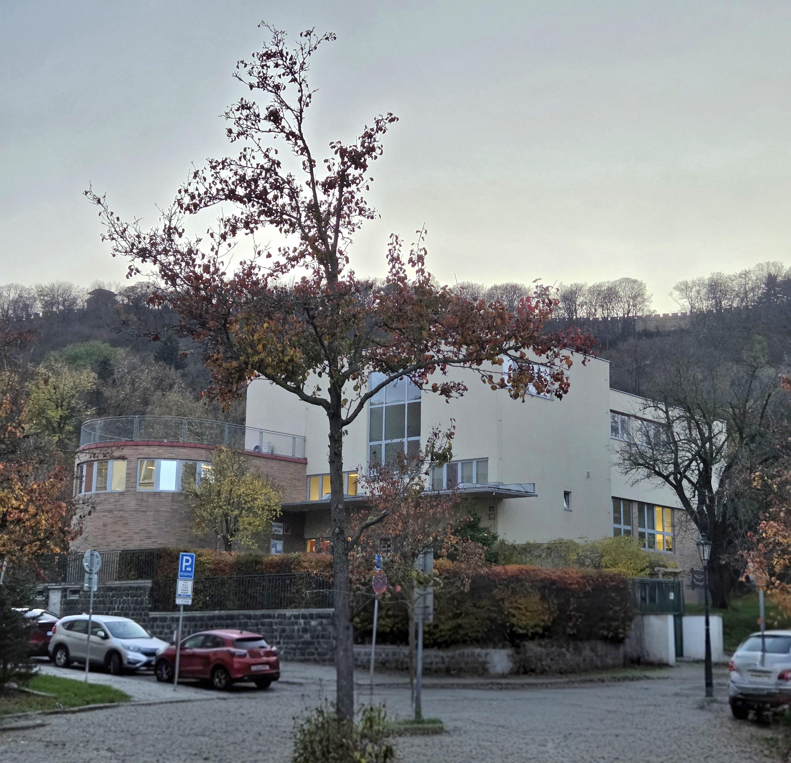 MŠ Praha 1, Hellichova foto 2