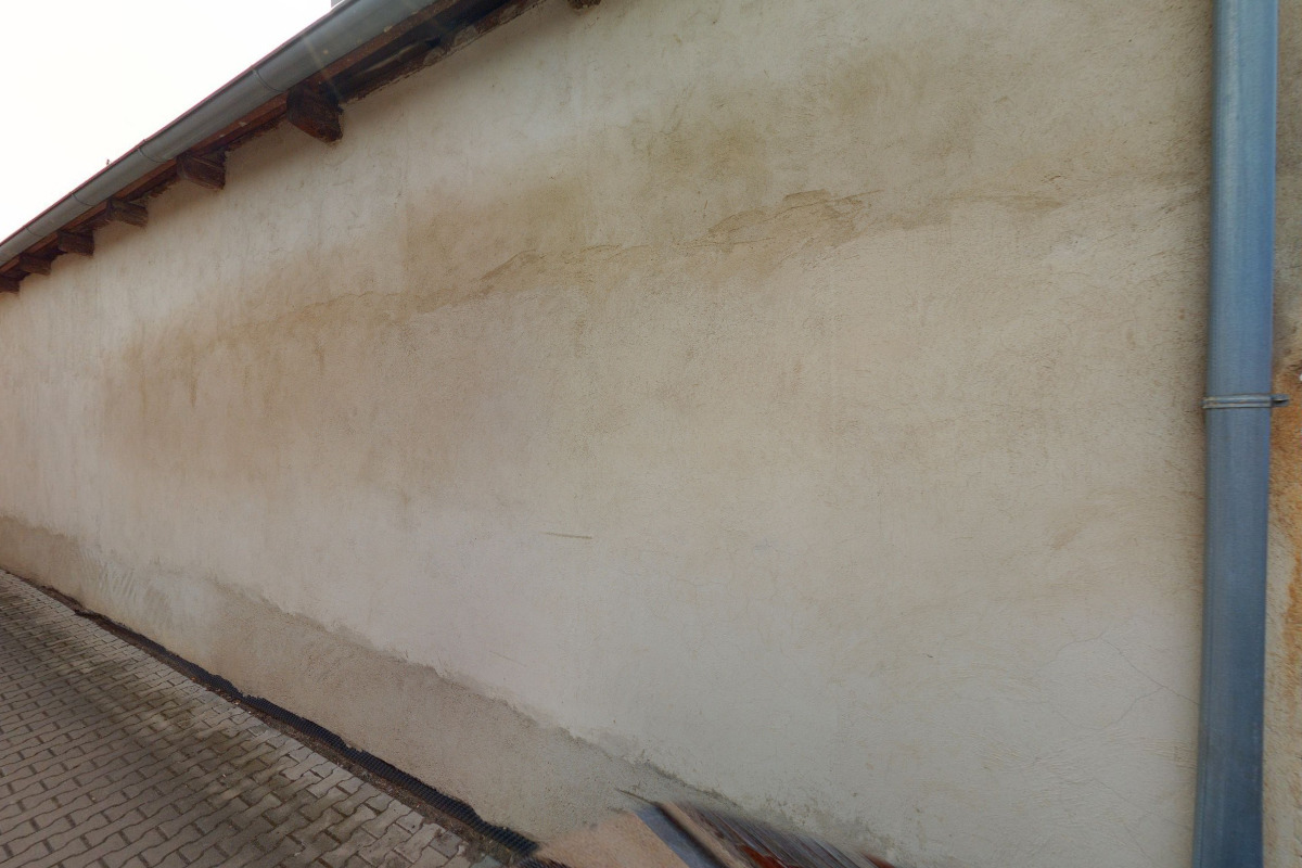 Kennel Golchika foto 2