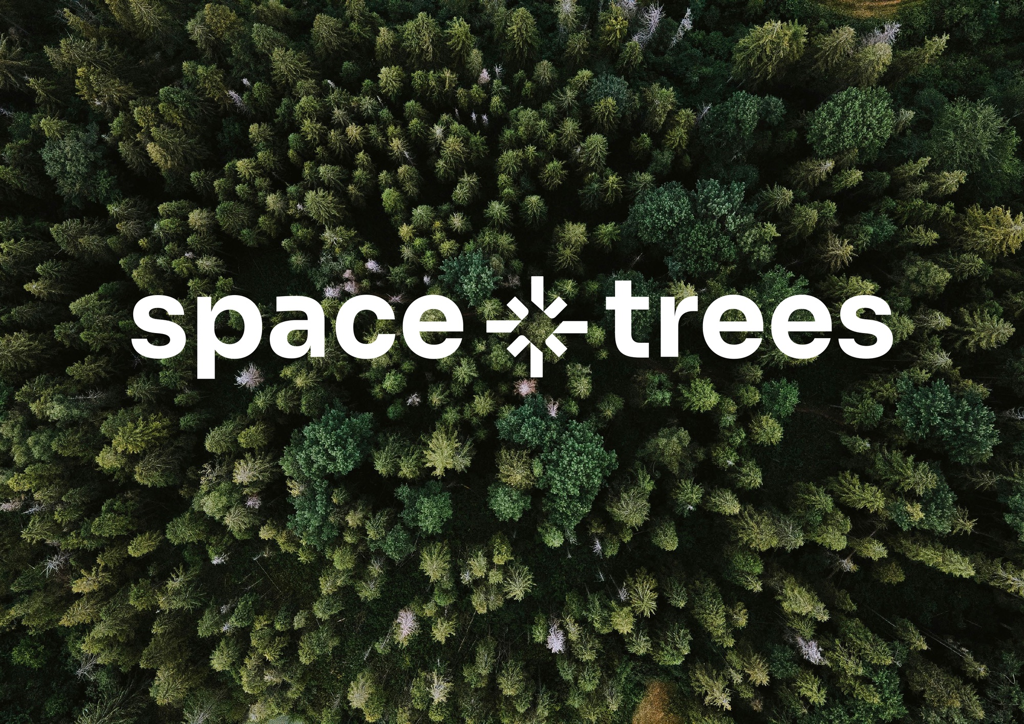 SPACETREES foto 2