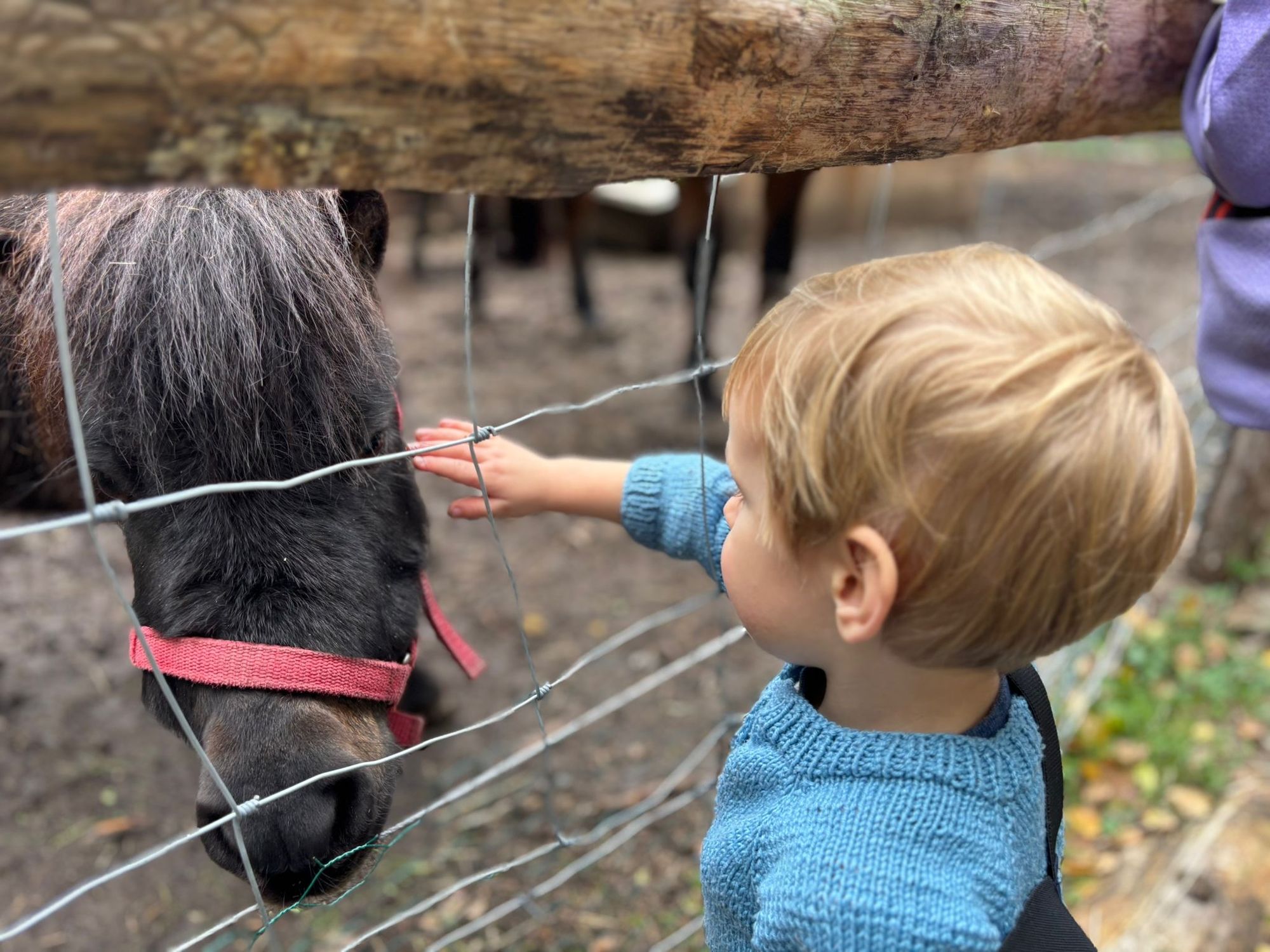 Malý farmář, z.s. - Farmářský lesní klub foto 2