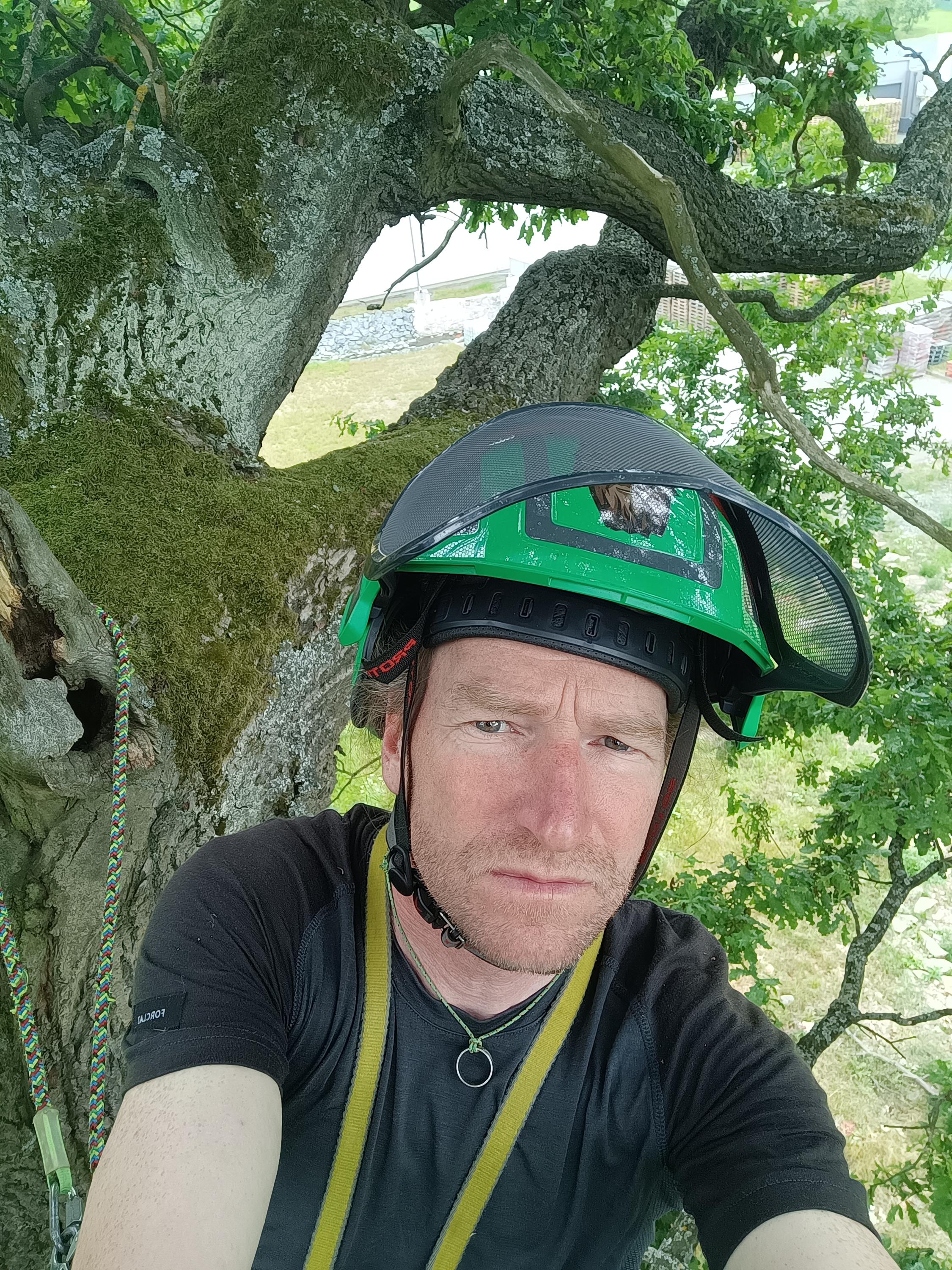 Jan Bábek ENTTREECARE foto 2